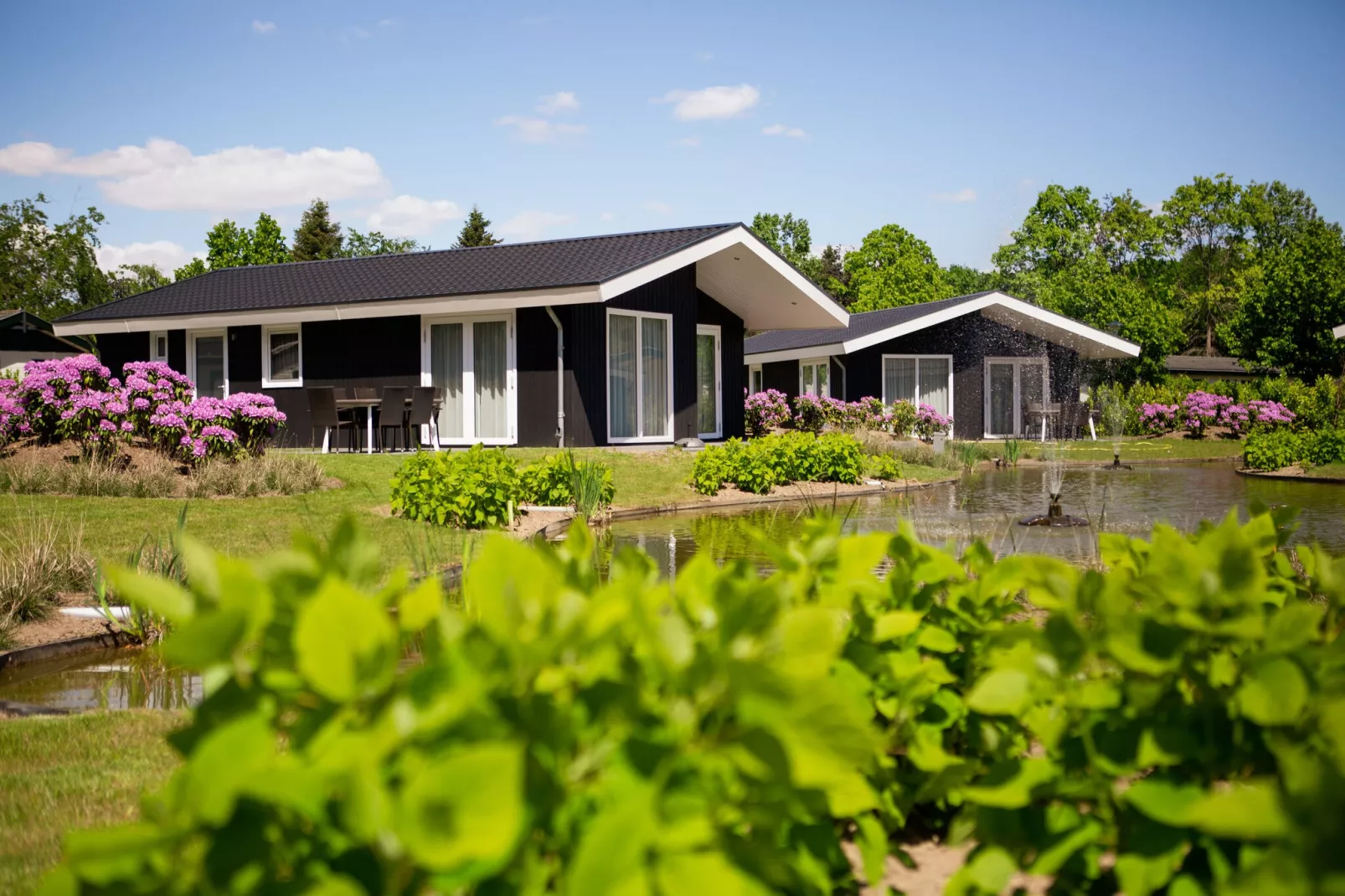 Vakantiepark Molenvelden 1-Buitenkant zomer