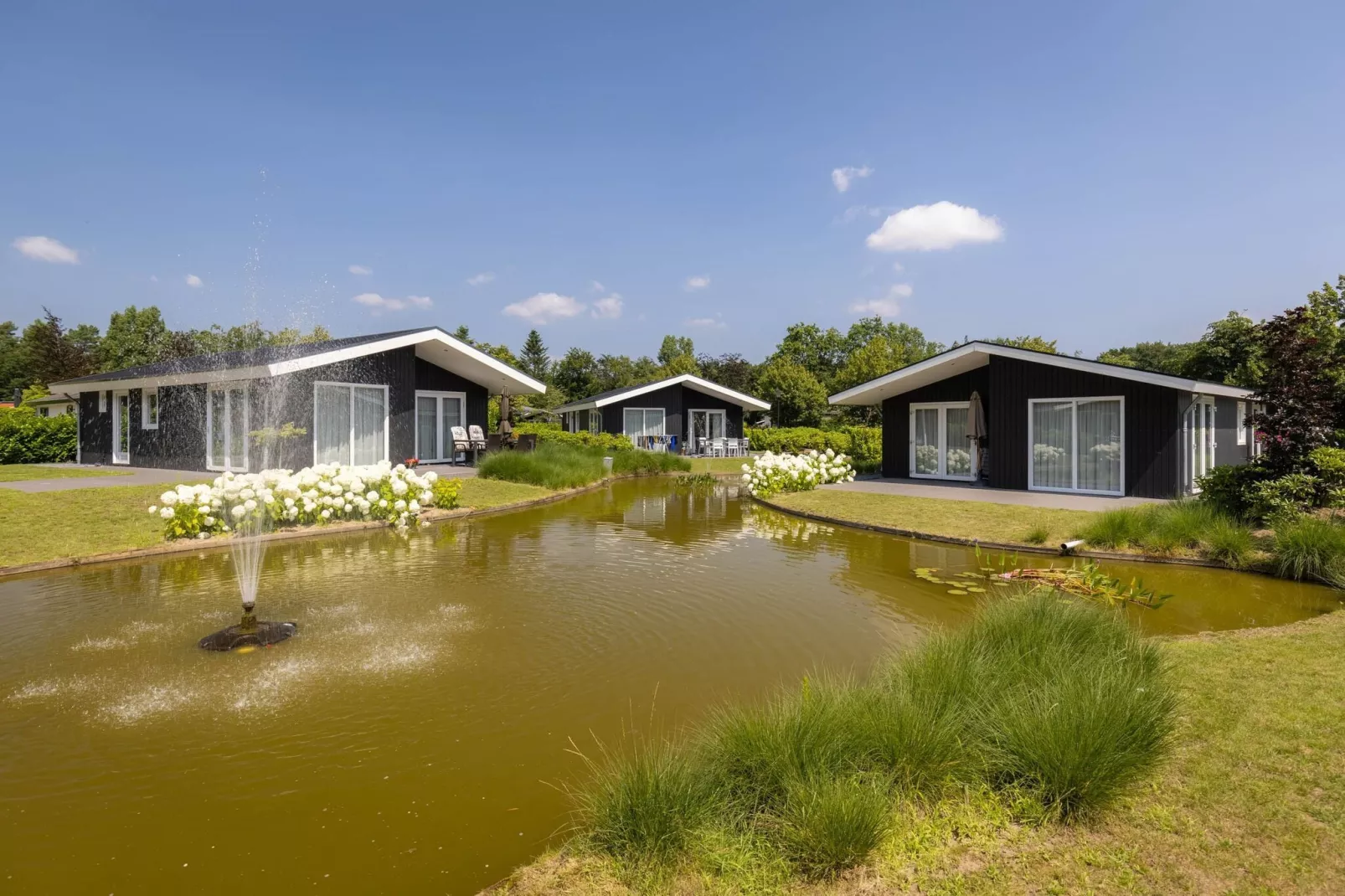 Vakantiepark Molenvelden 1-Buitenkant zomer