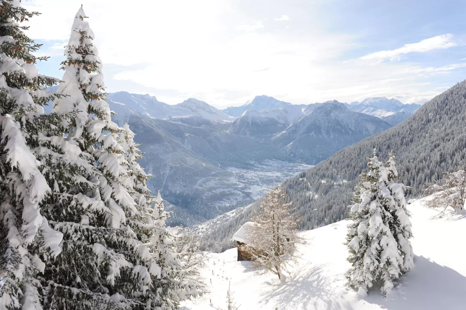 Apartment Giltstein-Gebied winter 20km