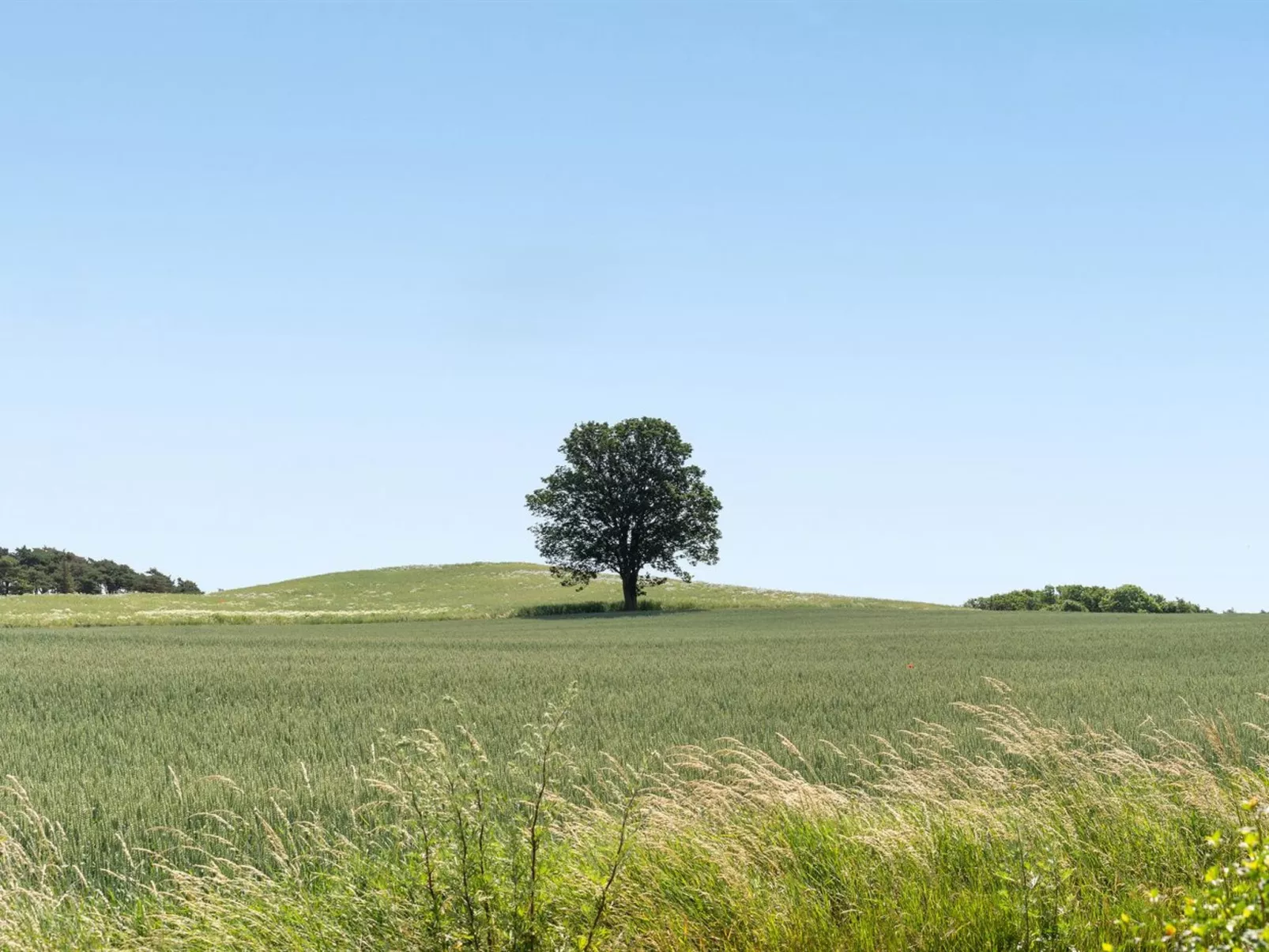 "Hila" - 900m from the sea-Buiten