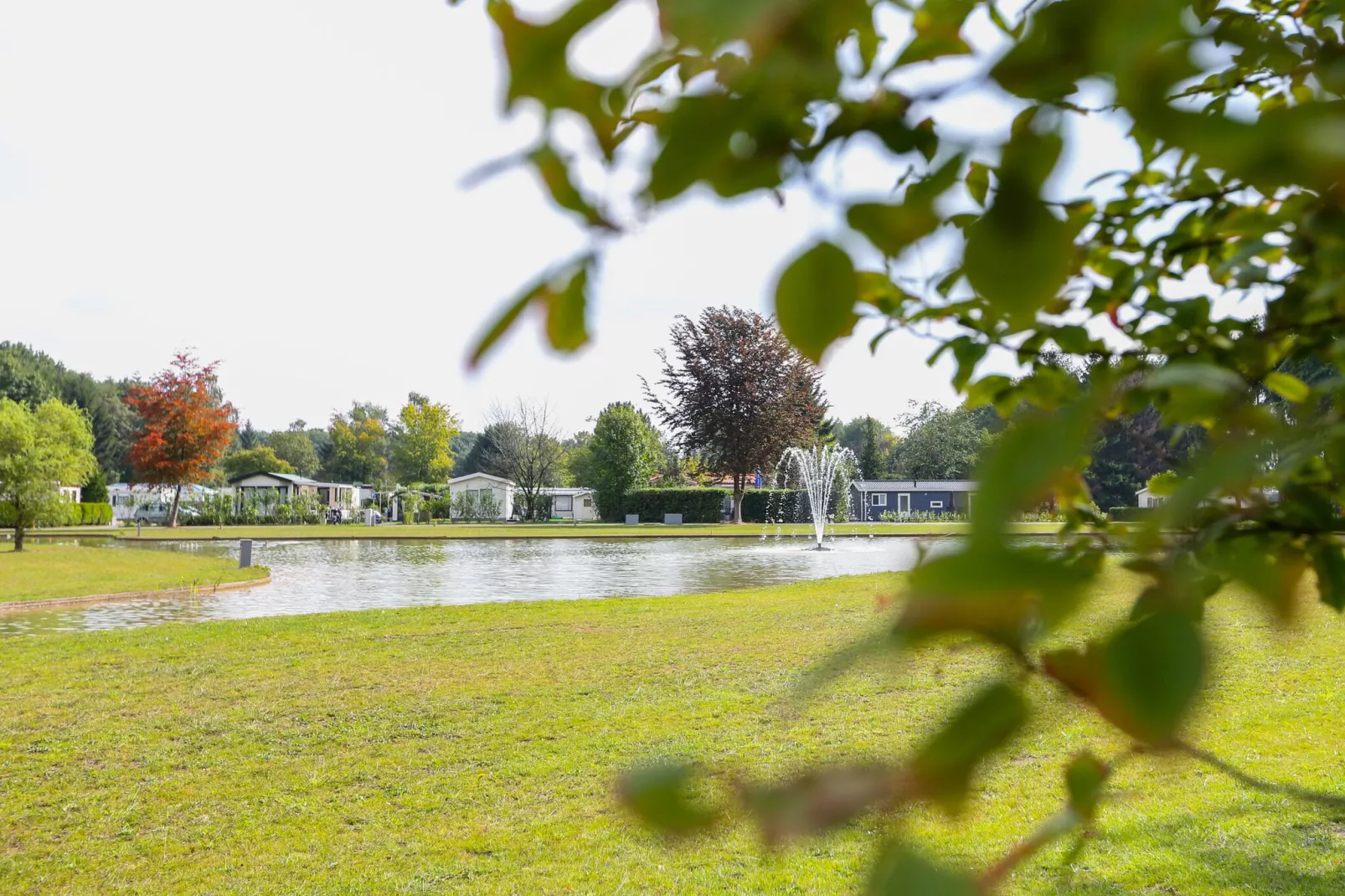 Vakantiepark Molenvelden 1-Gebieden zomer 1km