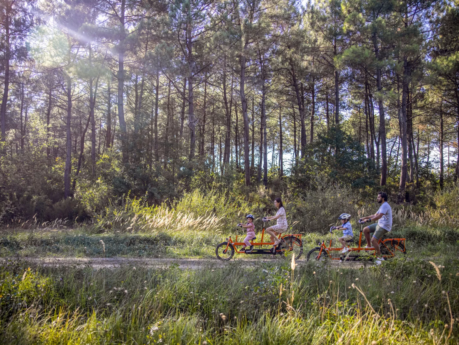 Park Le Bois aux Daims-Buiten