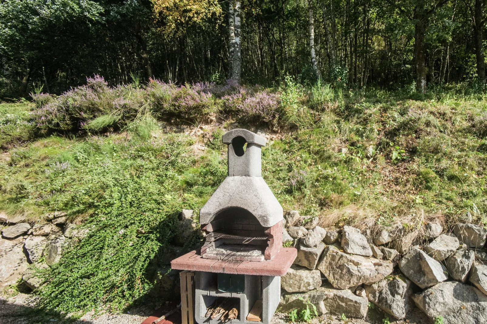 Chalet de la Roche-Sfeer