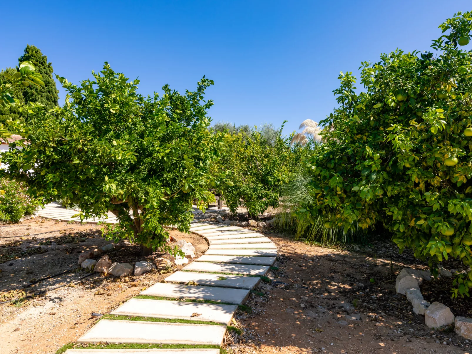 Villa Finca Labranza-Binnen