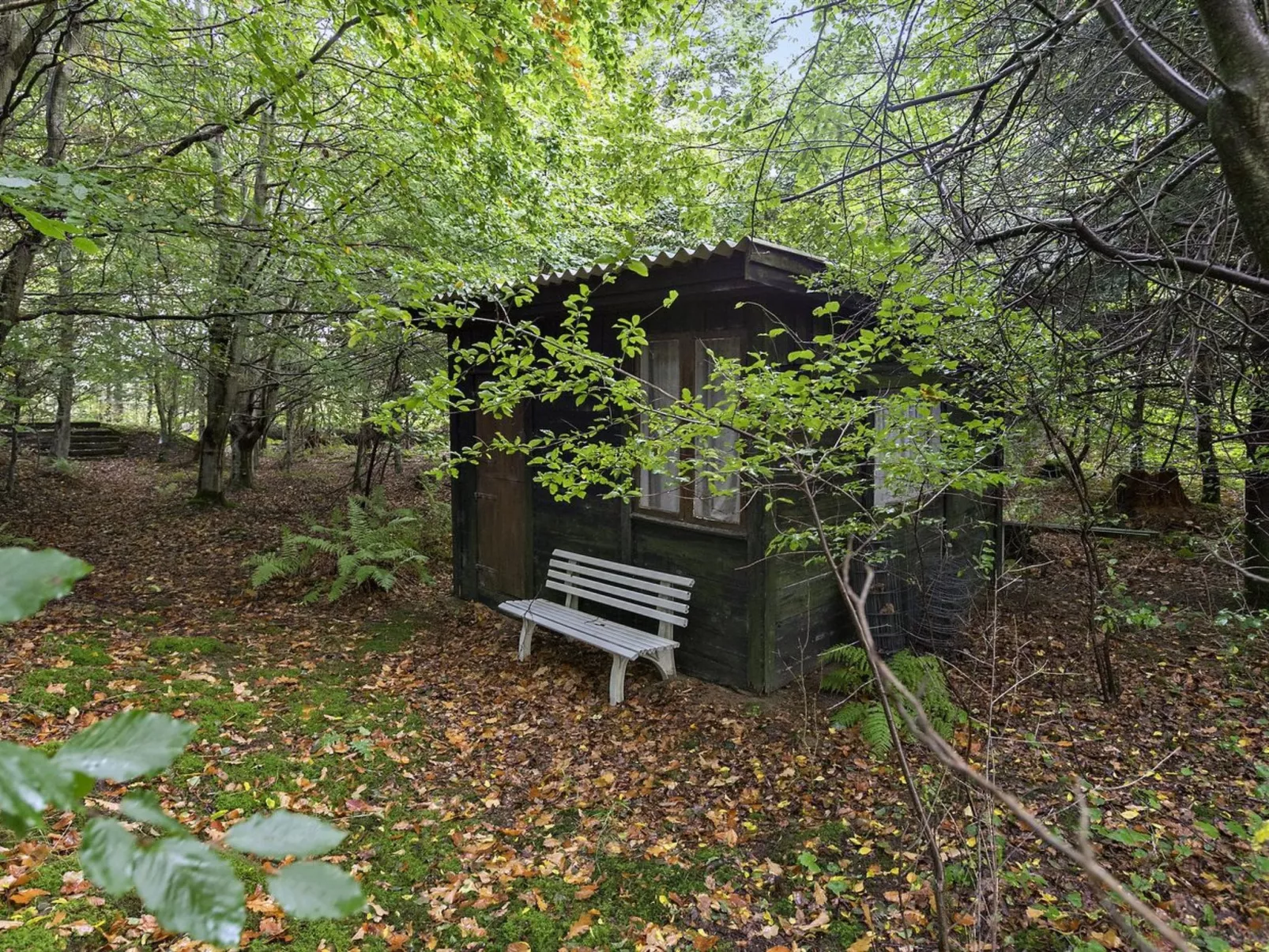 "Jarno" - 1km from the sea-Binnen