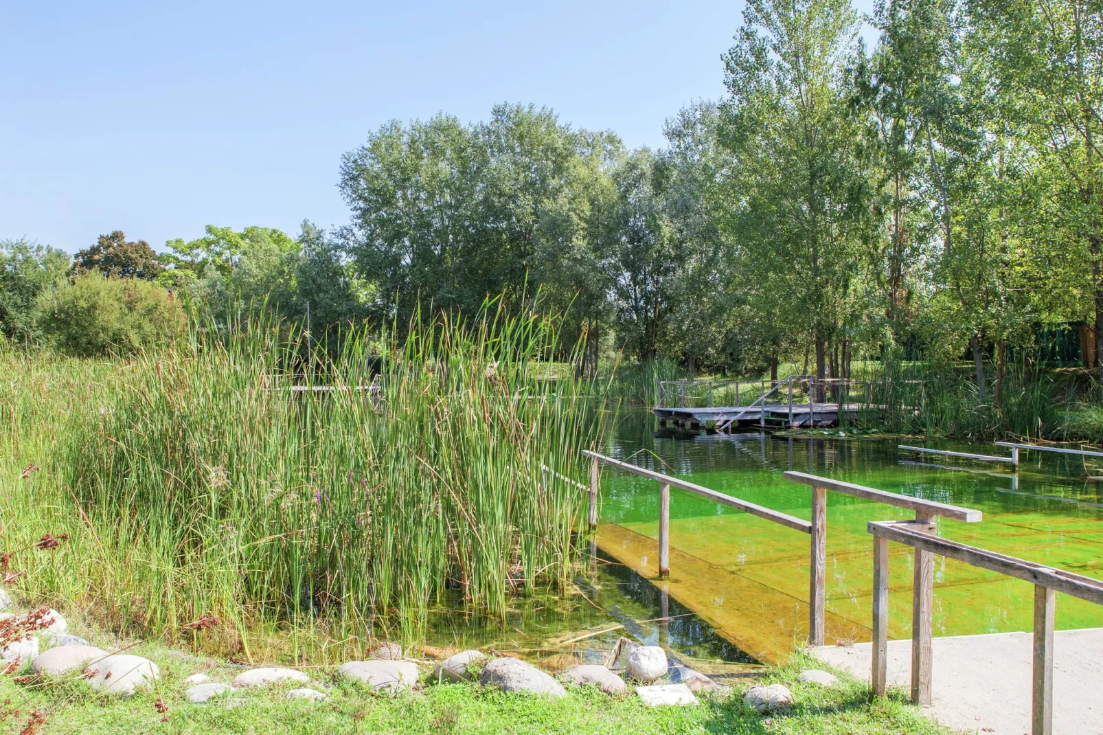 Due Laghi di Portomaggiore-Gebieden zomer 1km