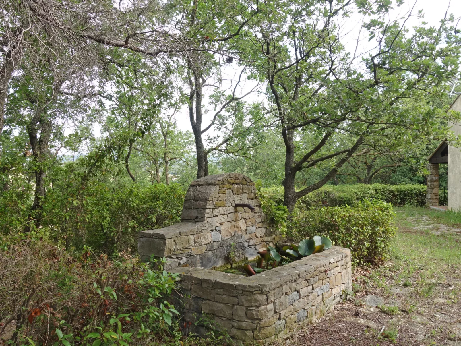 Le Petit St Côme-Buiten