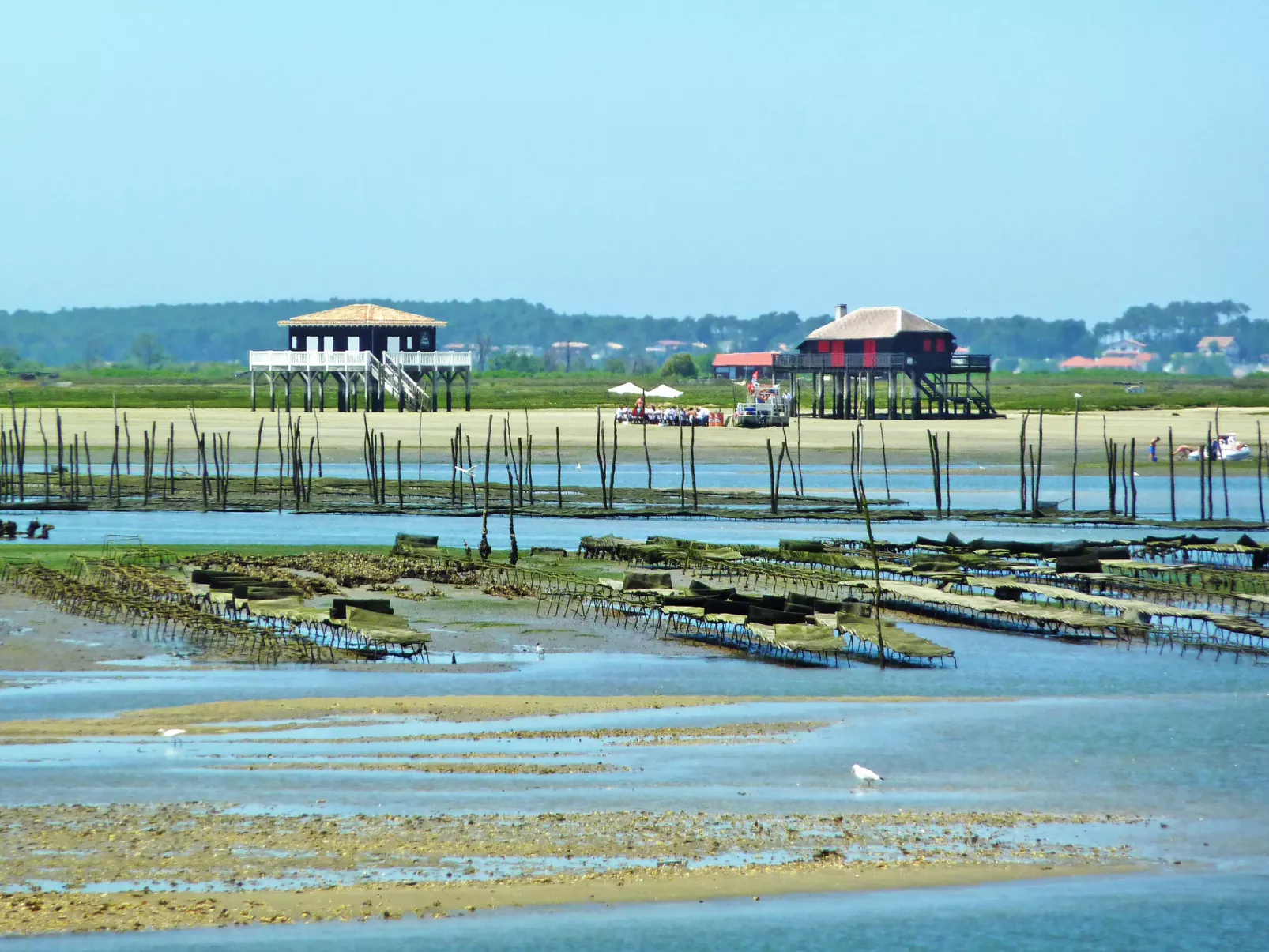 Jetée des Marins-Omgeving