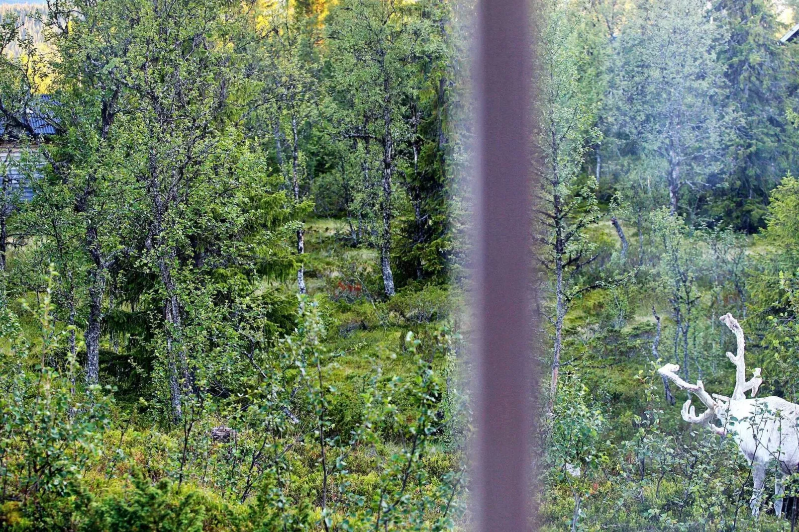4 persoons vakantie huis in FUNÄSDALEN-Buitenlucht