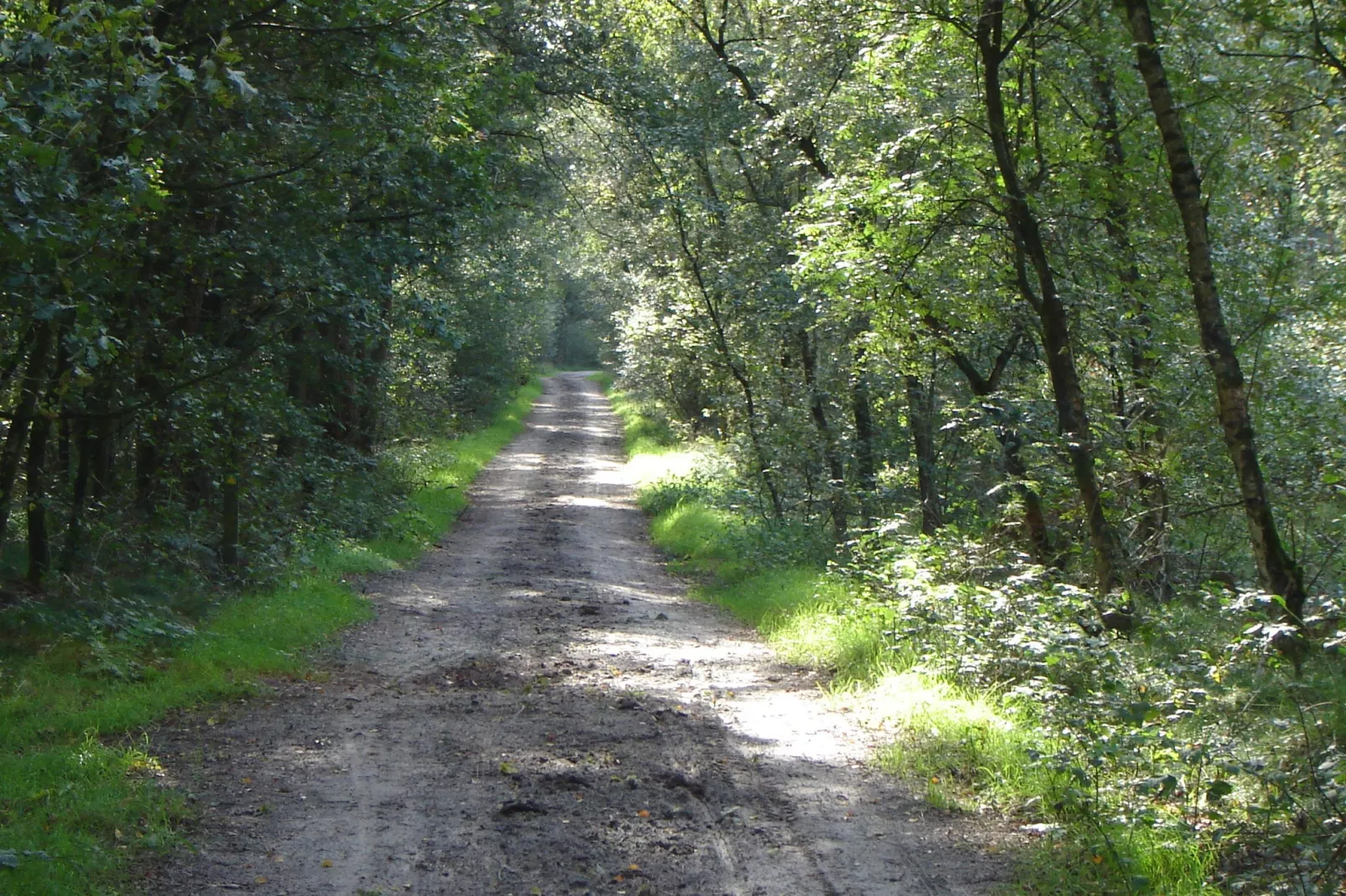 De Lansert-Gebieden zomer 1km