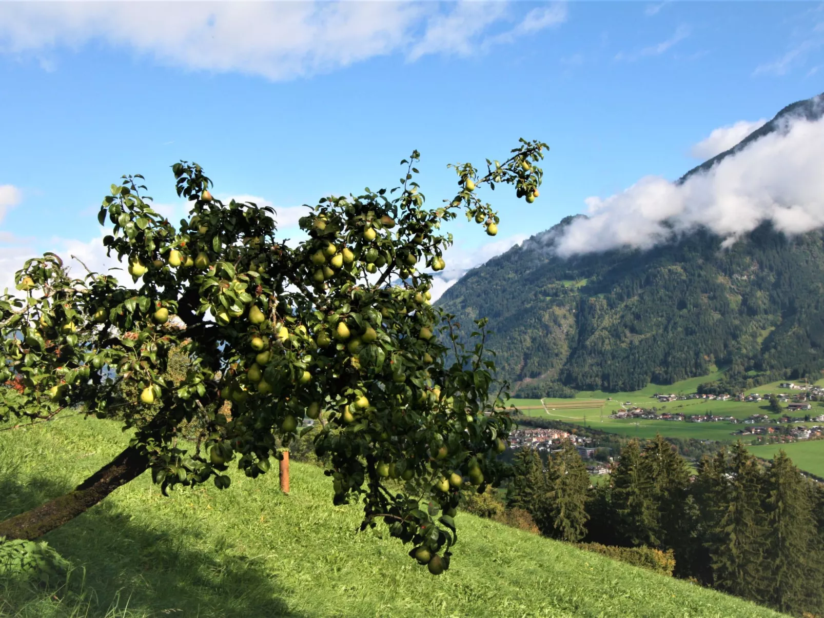 Gangerhof-Buiten