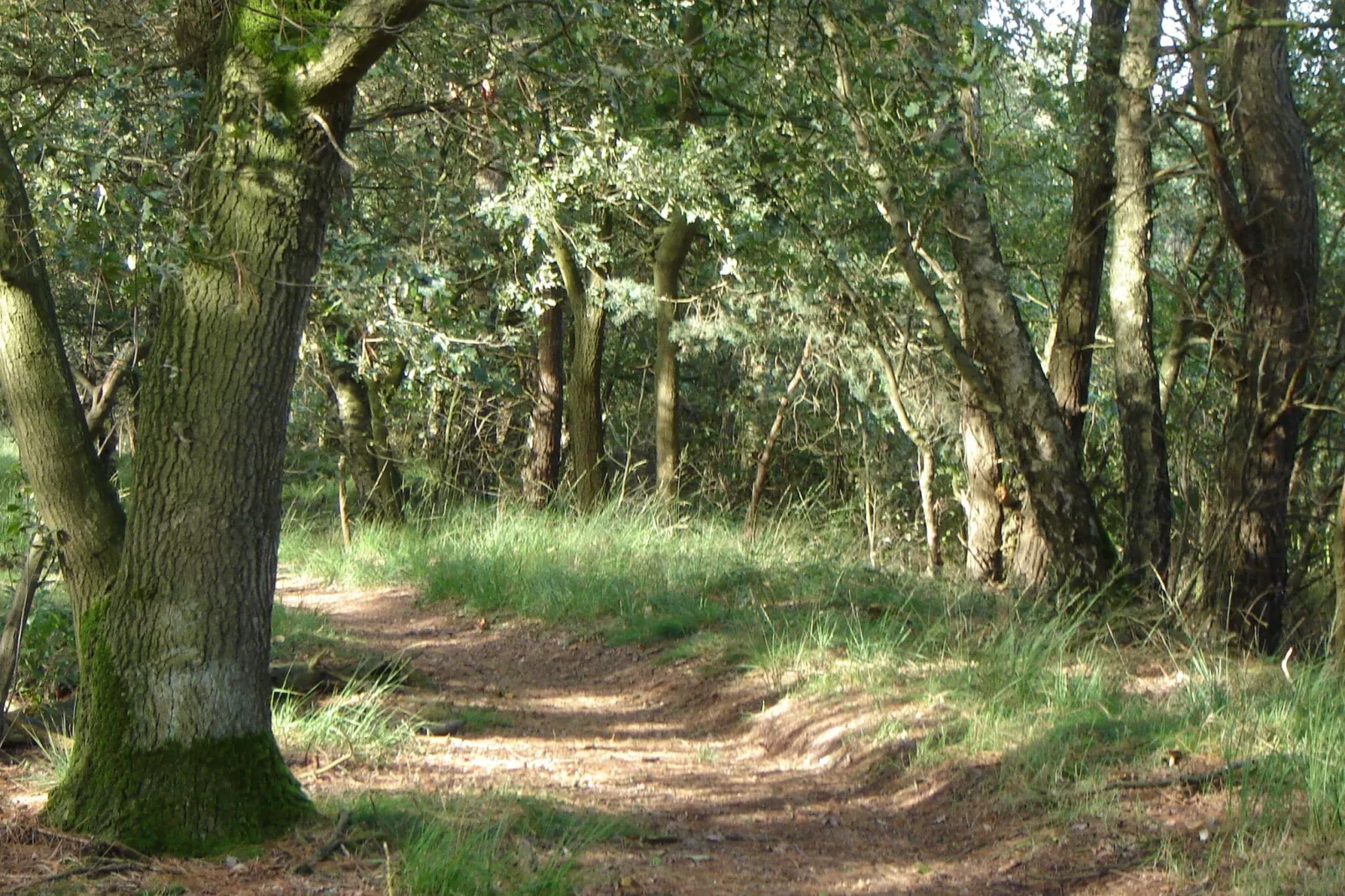 De Lansert-Gebieden zomer 5km