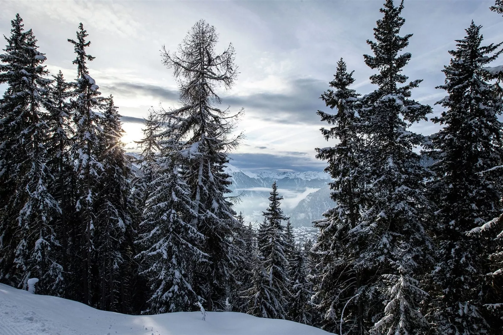 Chalet Holleri-Gebied winter 5km