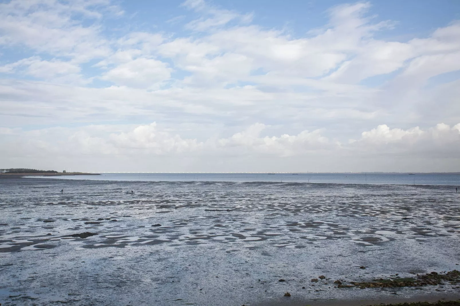 Aan de Oosterschelde-Gebieden zomer 1km