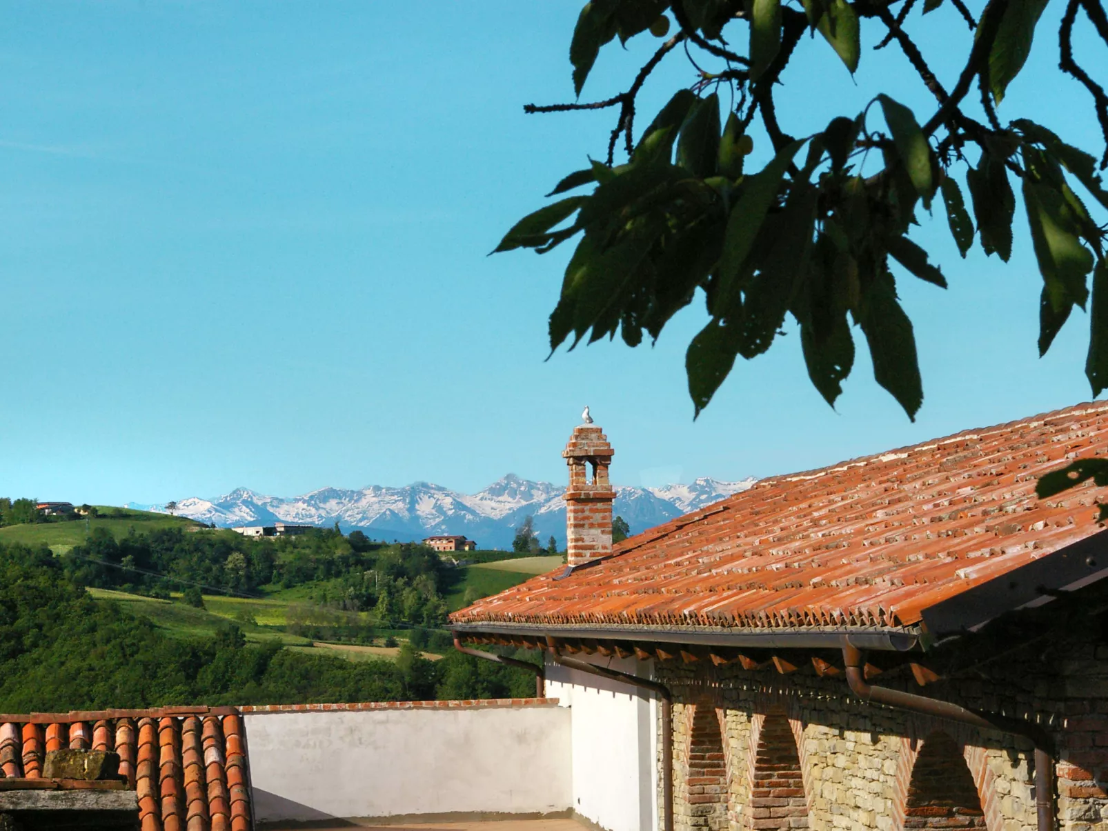 Casa Vacanza Cascina Lovera-Buiten