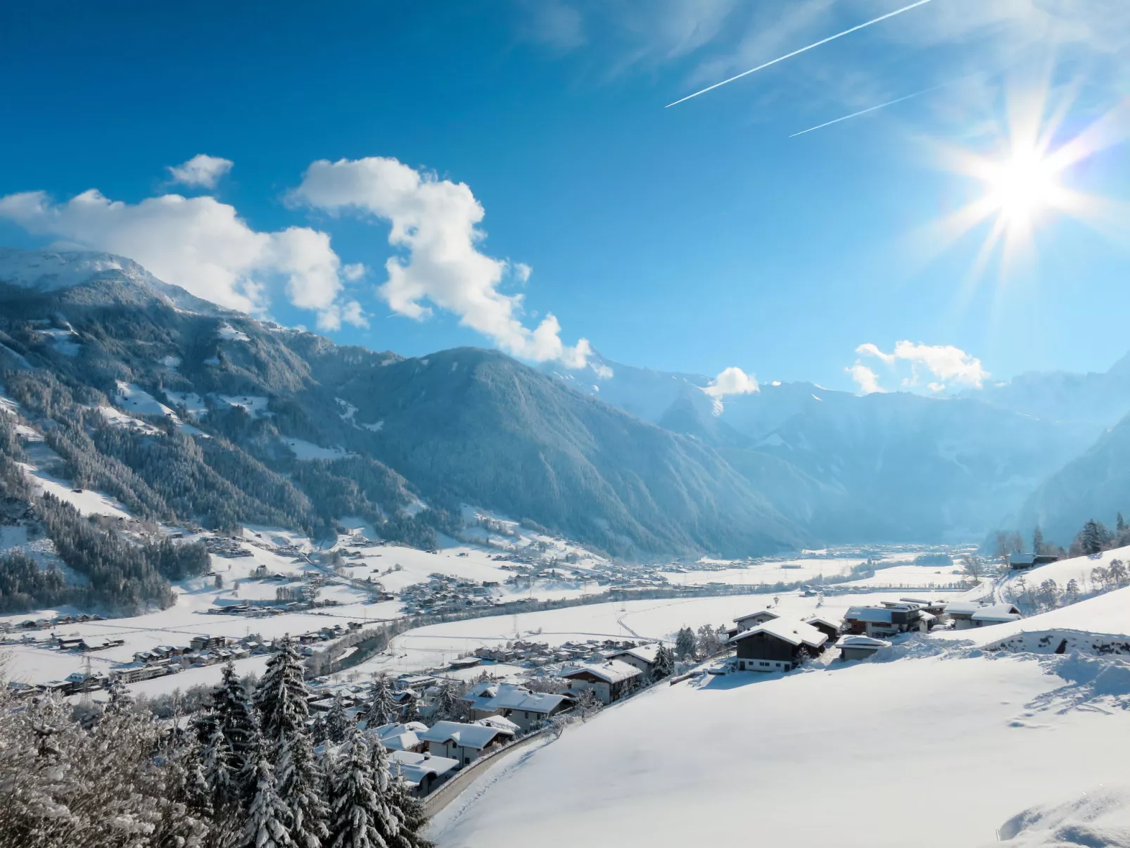 Edelweiss-Omgeving