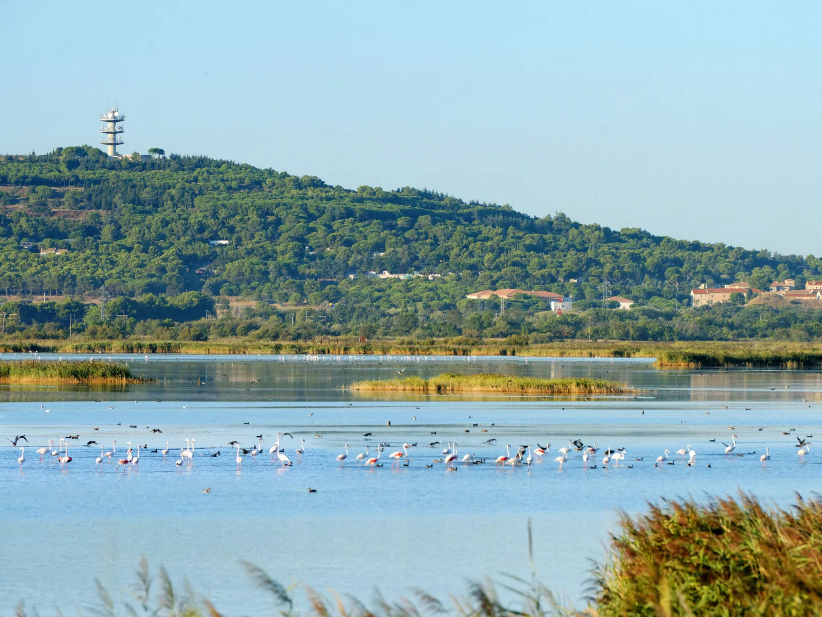 Île St Martin-Omgeving