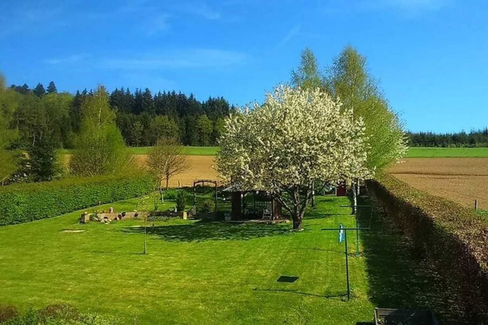 Le près fagnoux-Uitzicht zomer