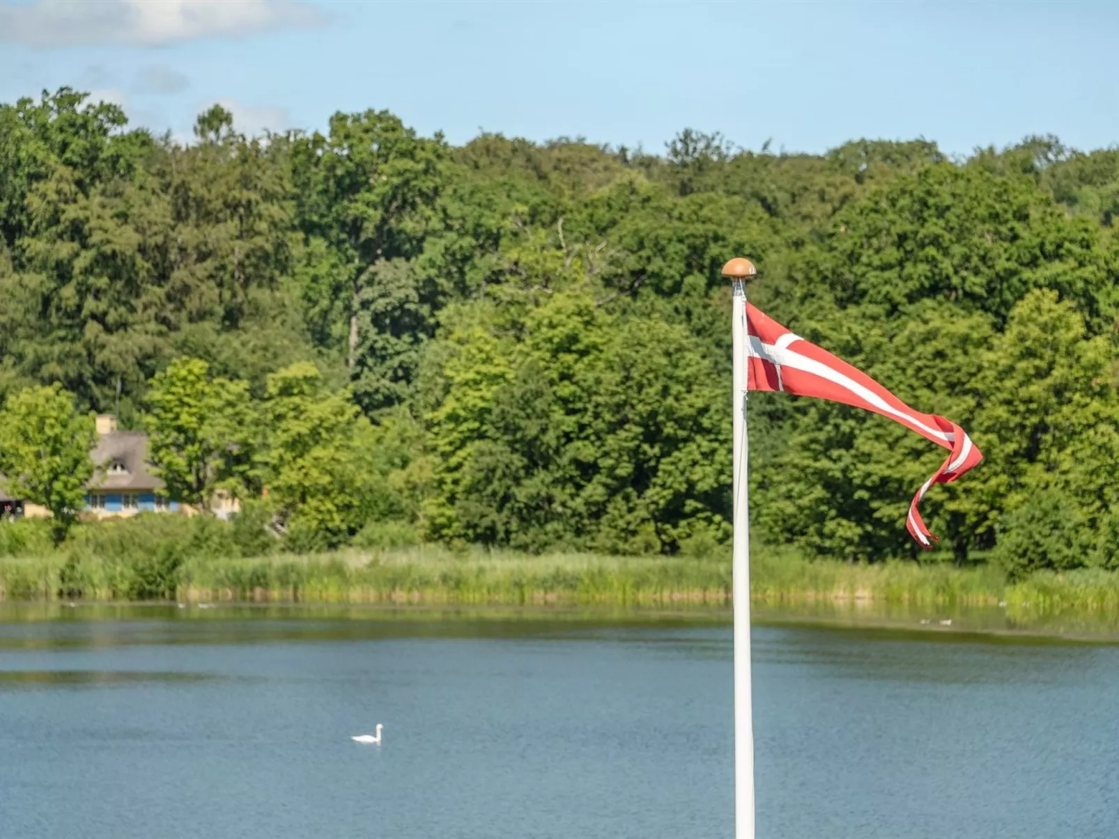 "Almedin" - all inclusive - 2km from the sea-Buiten