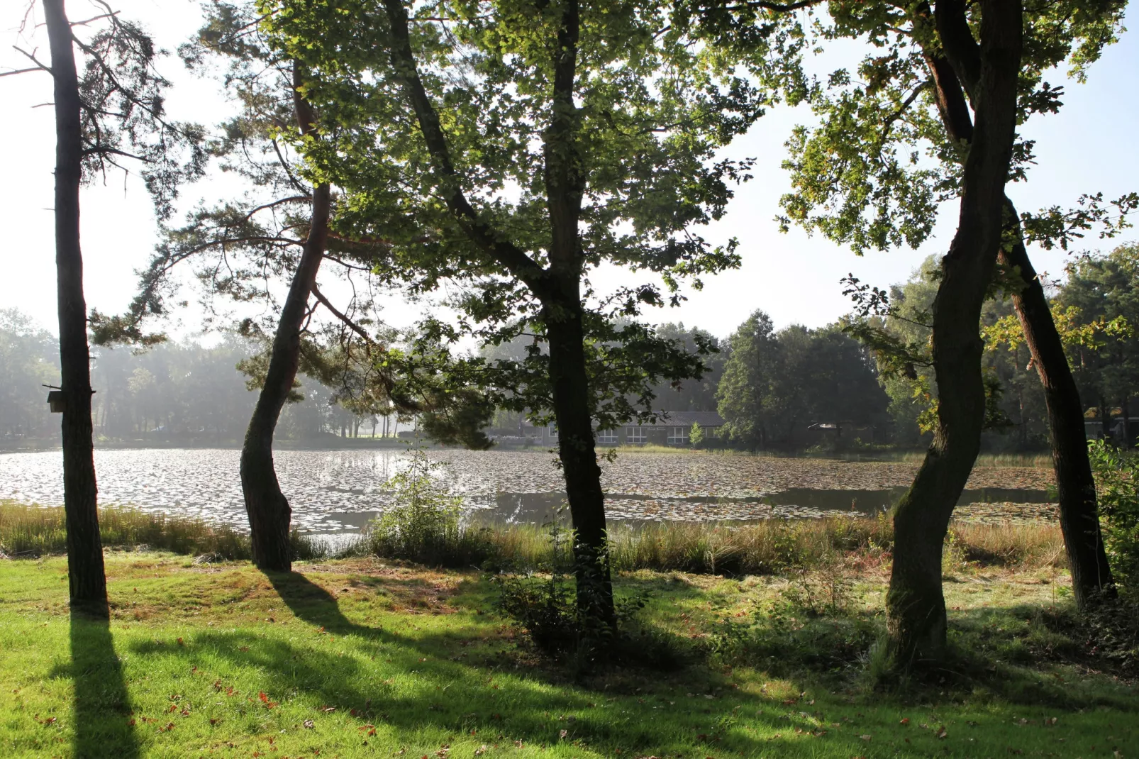 Bungalow 27-Gebieden zomer 1km