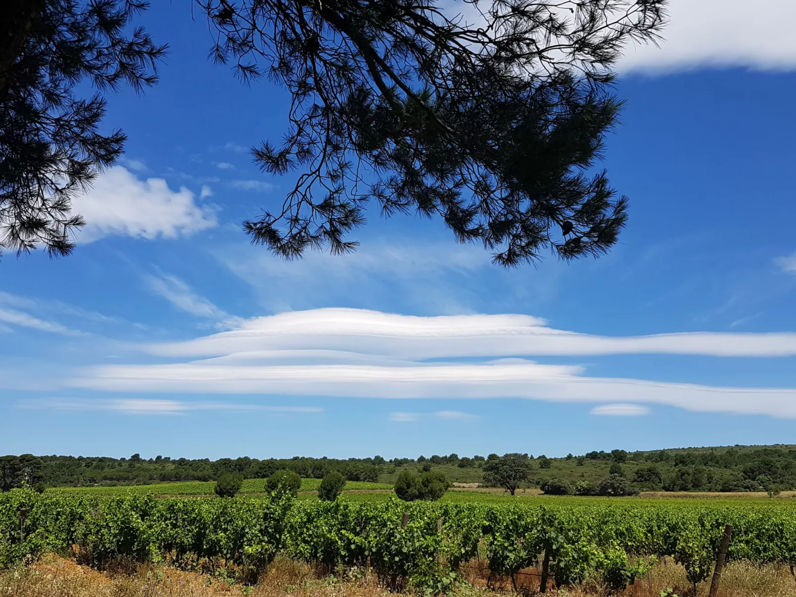 Les Hirondelles-Omgeving