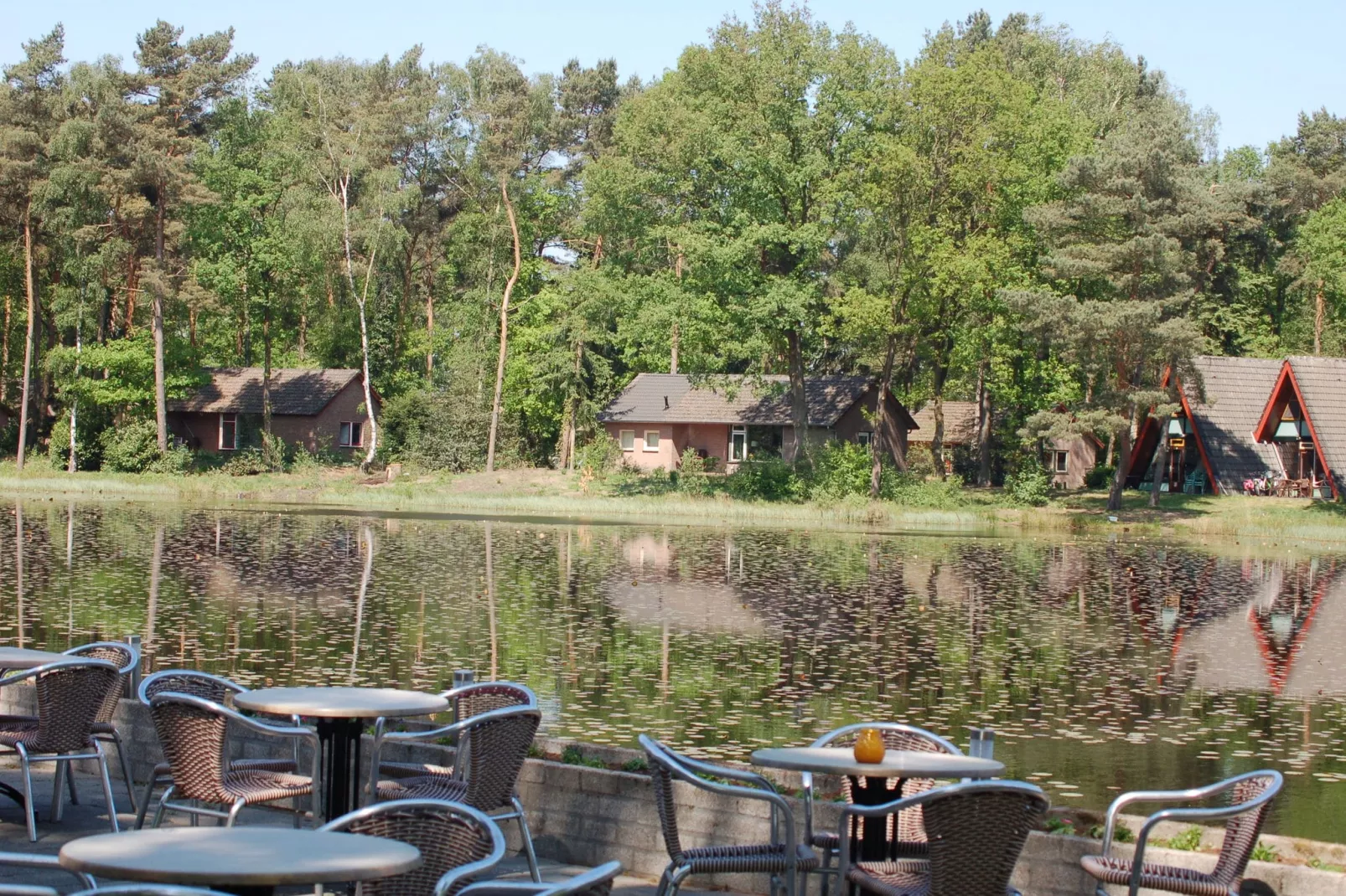 Bungalow 27-Gebieden zomer 1km