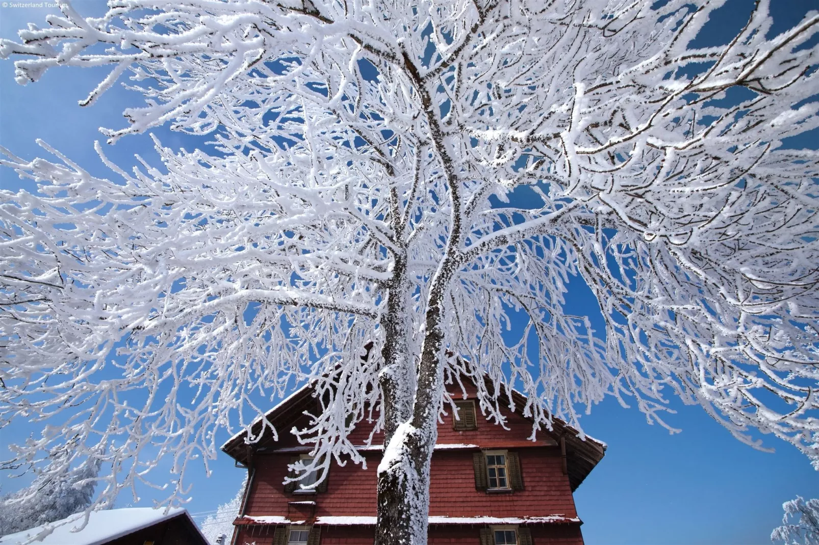 Haus Lerch-Gebied winter 5km