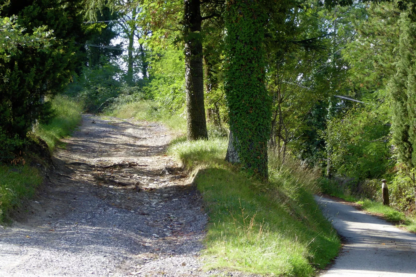 Salice Sei-Gebieden zomer 1km