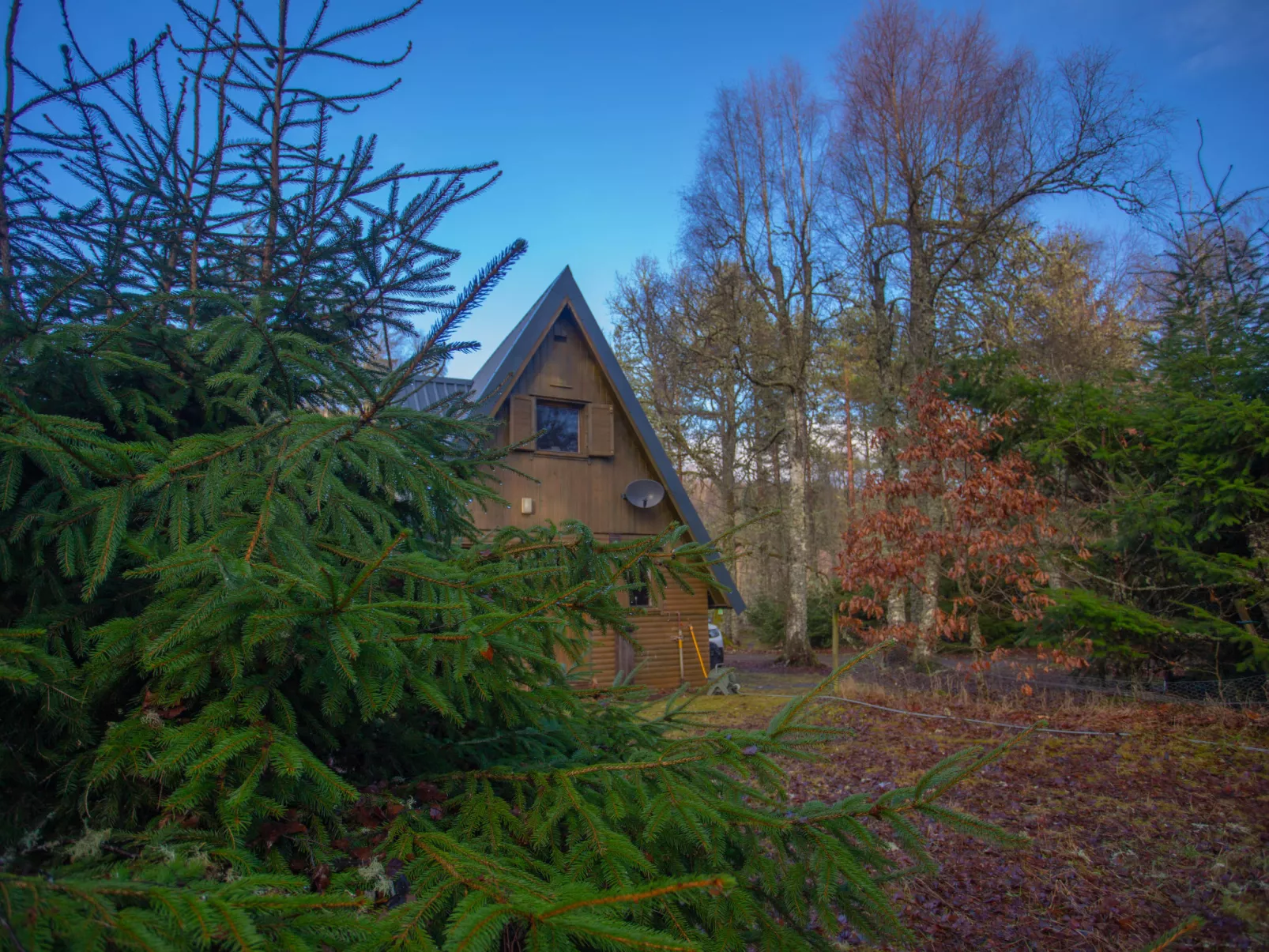 Birchwood Cottage-Buiten