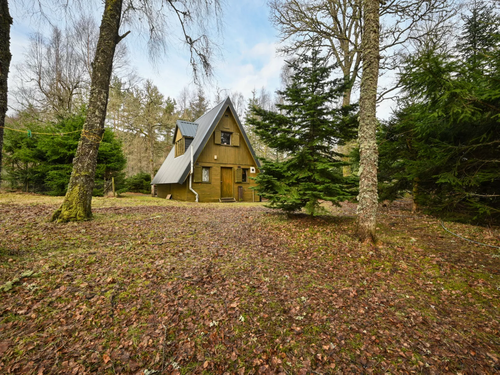 Birchwood Cottage-Buiten
