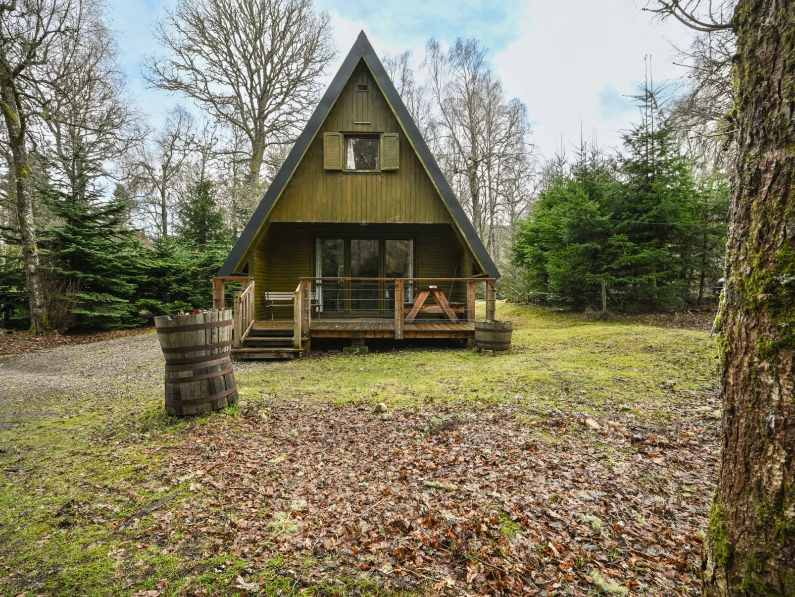 Birchwood Cottage-Buiten