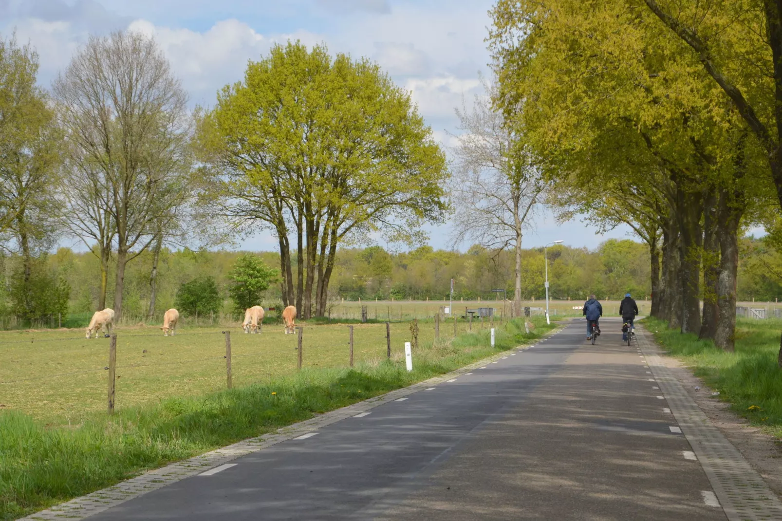 Bungalow 5-Gebieden zomer 5km