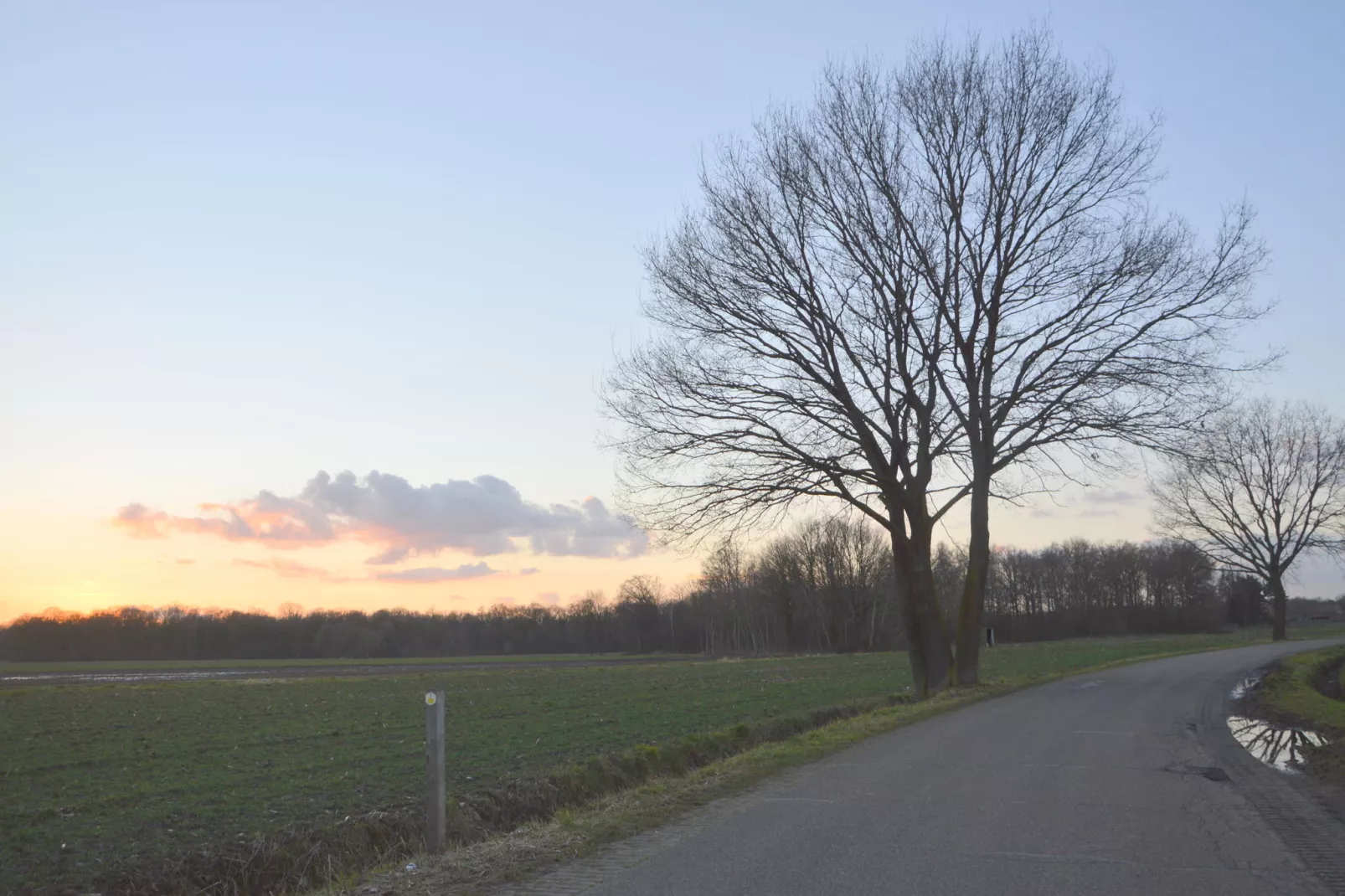 Bungalow 4-Gebieden zomer 5km