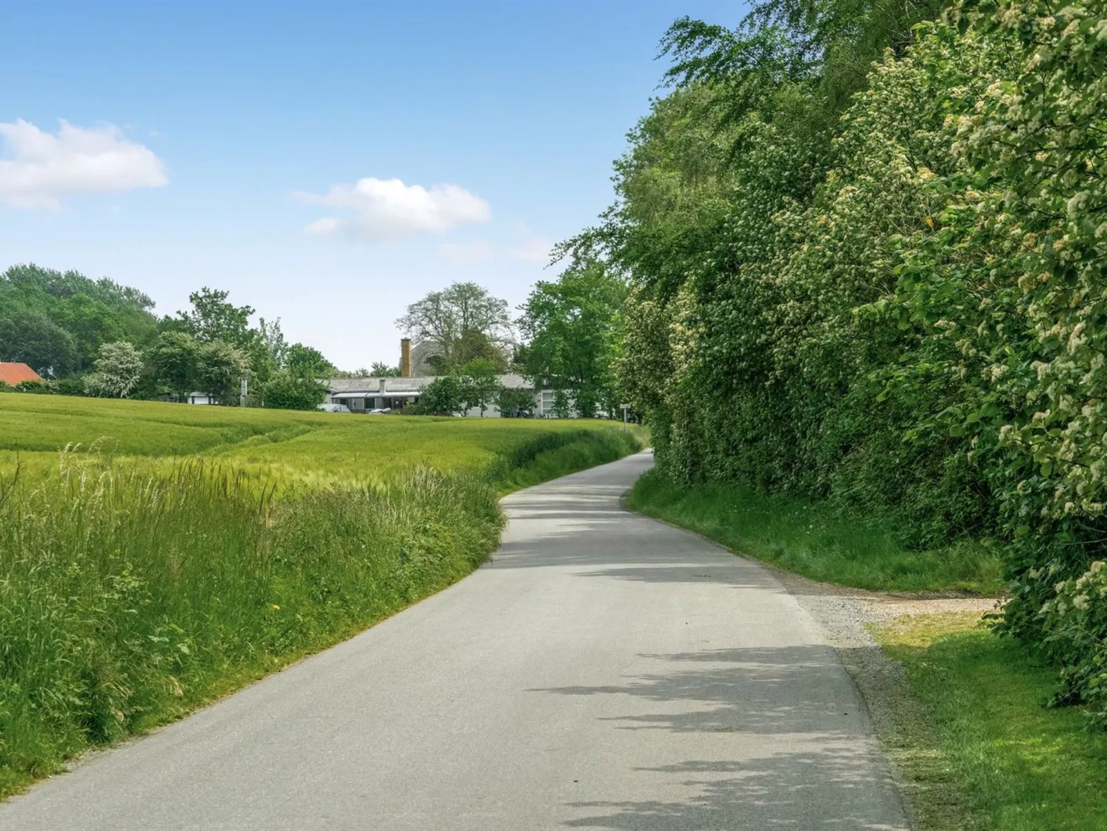 "Thorwer" - 250m from the sea-Buiten