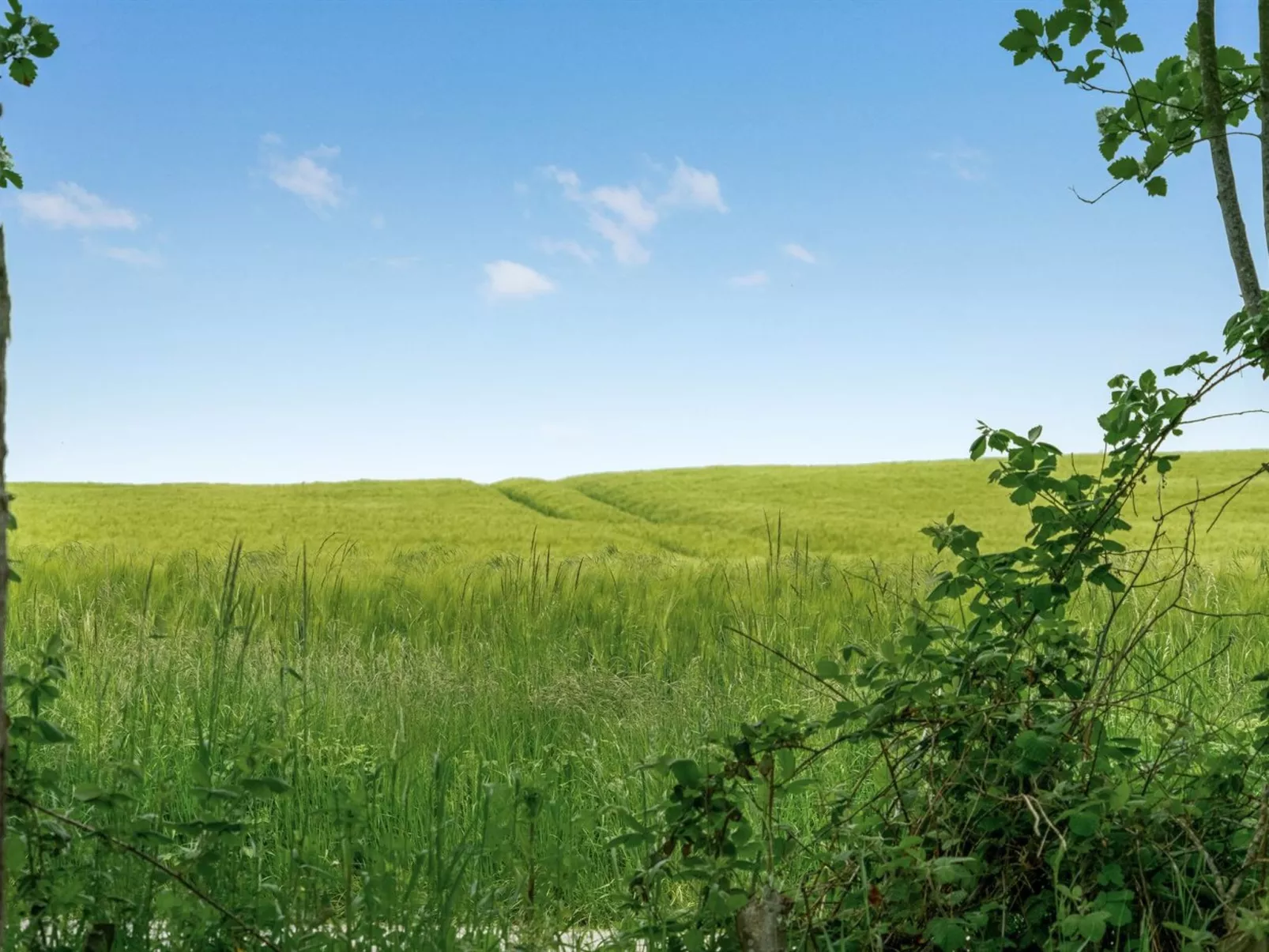 "Thorwer" - 250m from the sea-Buiten