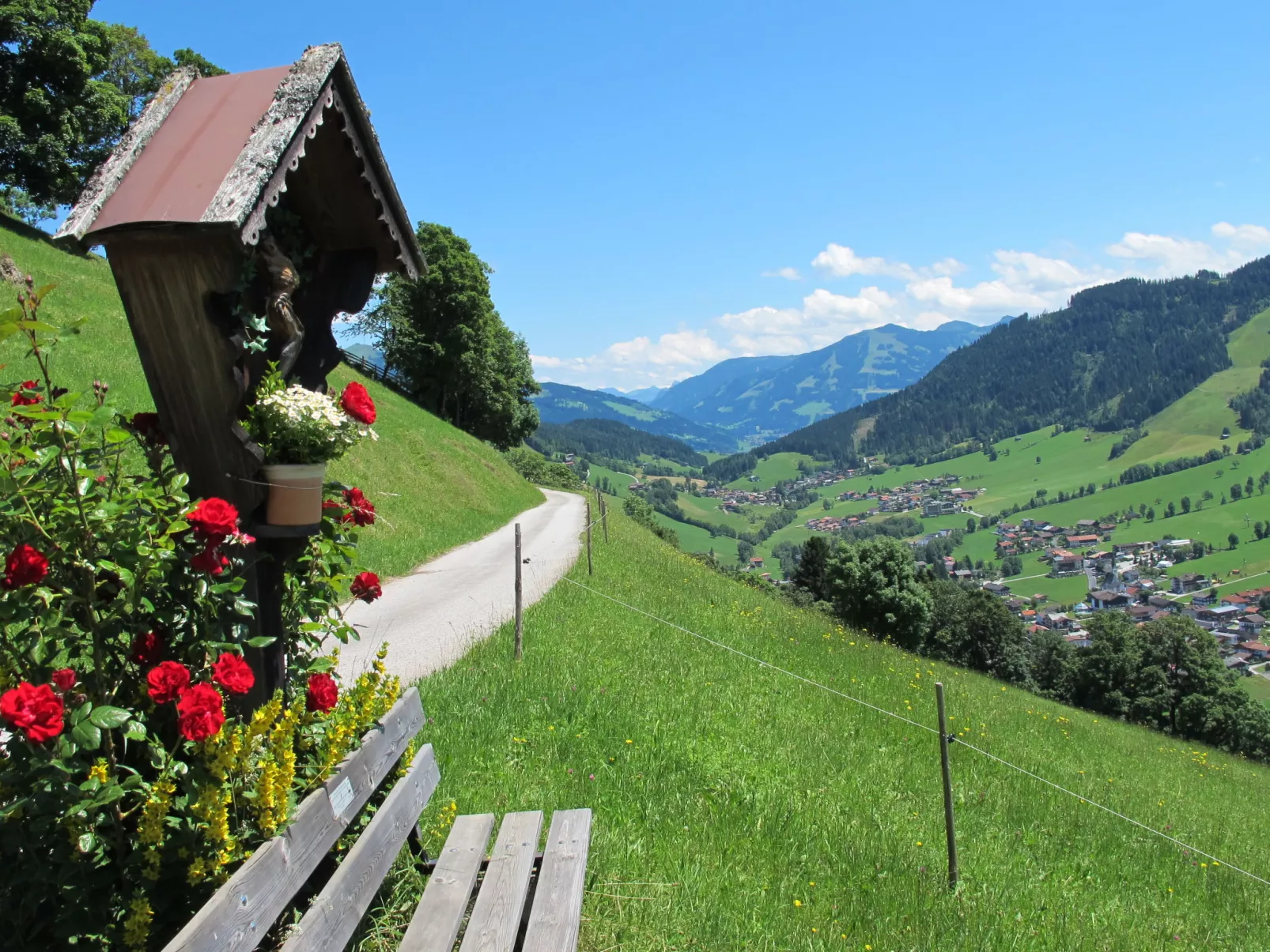 Bergblick-Omgeving