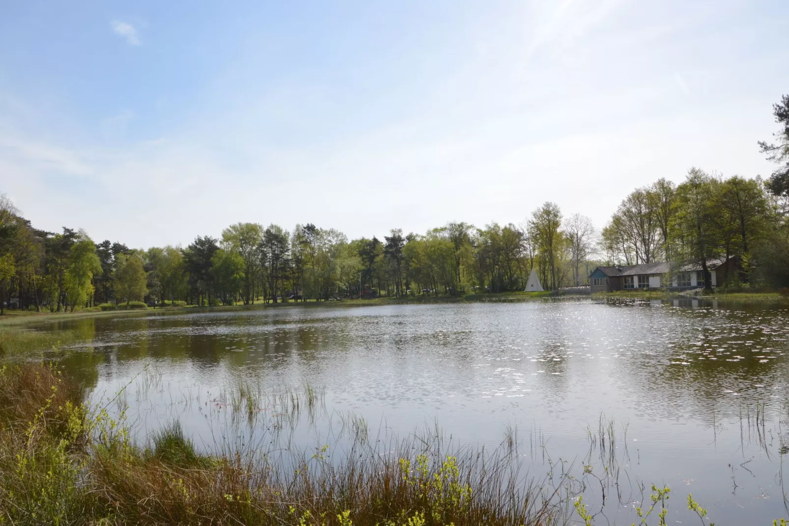 't Haasje-Gebieden zomer 1km