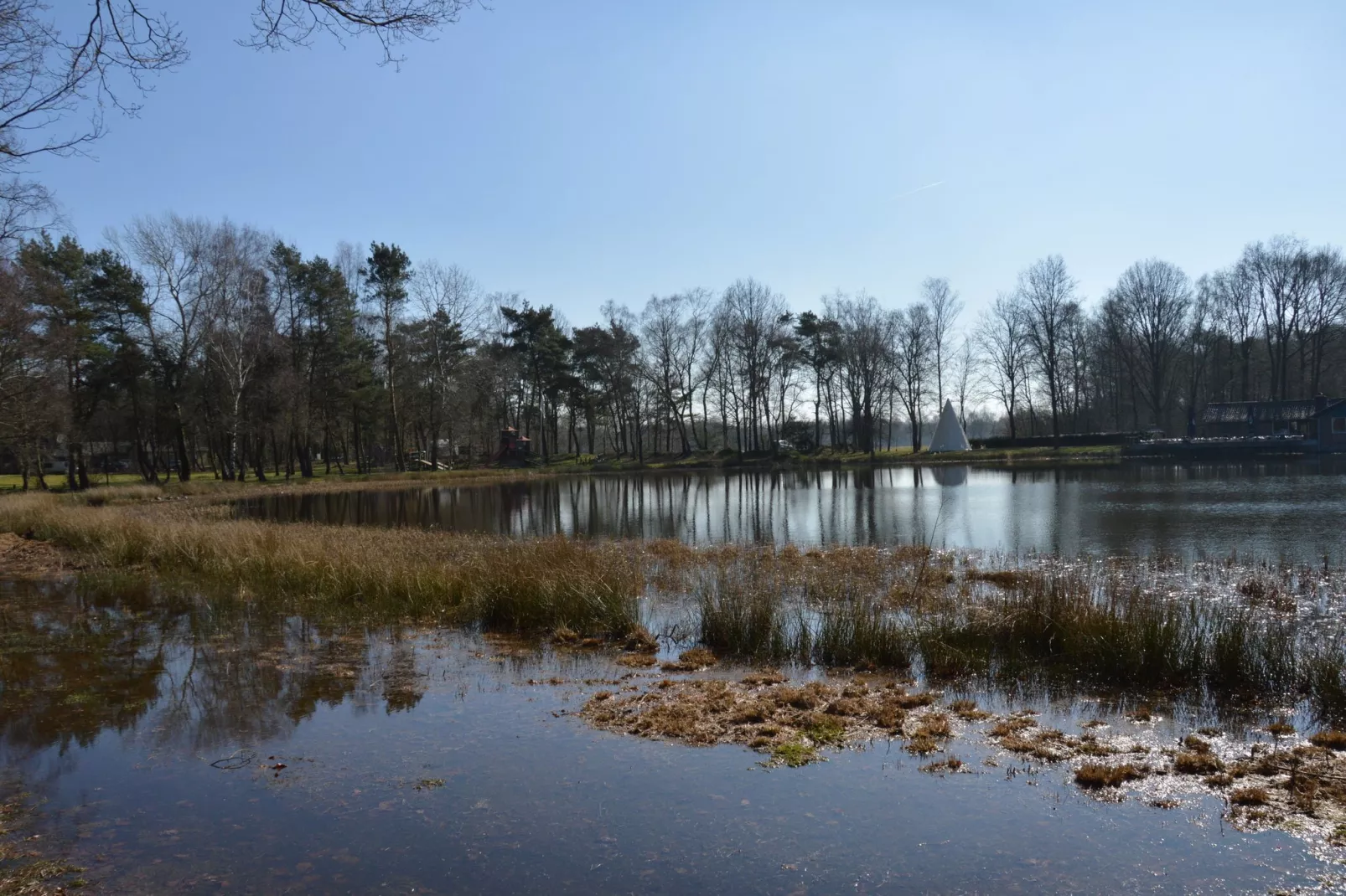 Bungalows 48 en 49-Gebieden zomer 1km