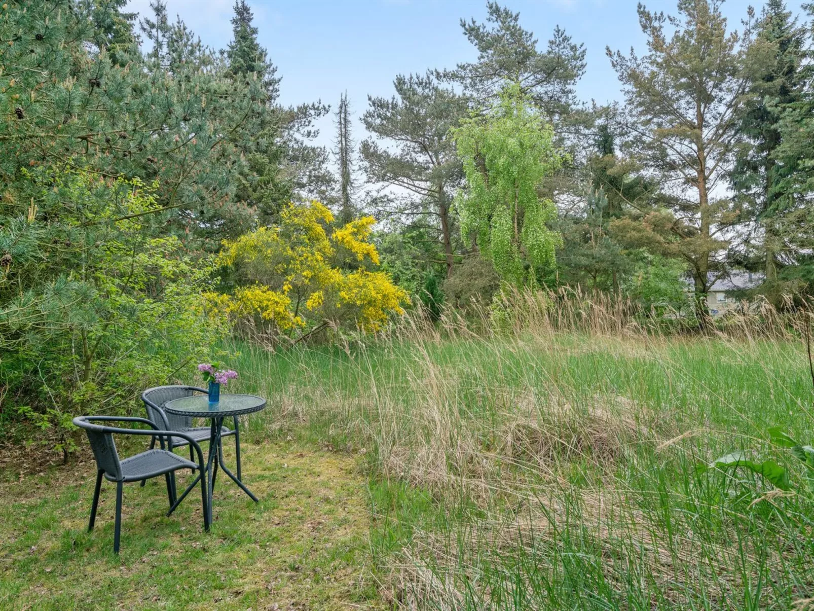 "Nanook" - 4.5km from the sea-Buiten