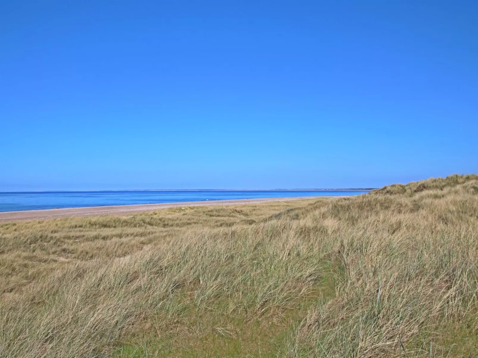 "Nanook" - 4.5km from the sea-Buiten