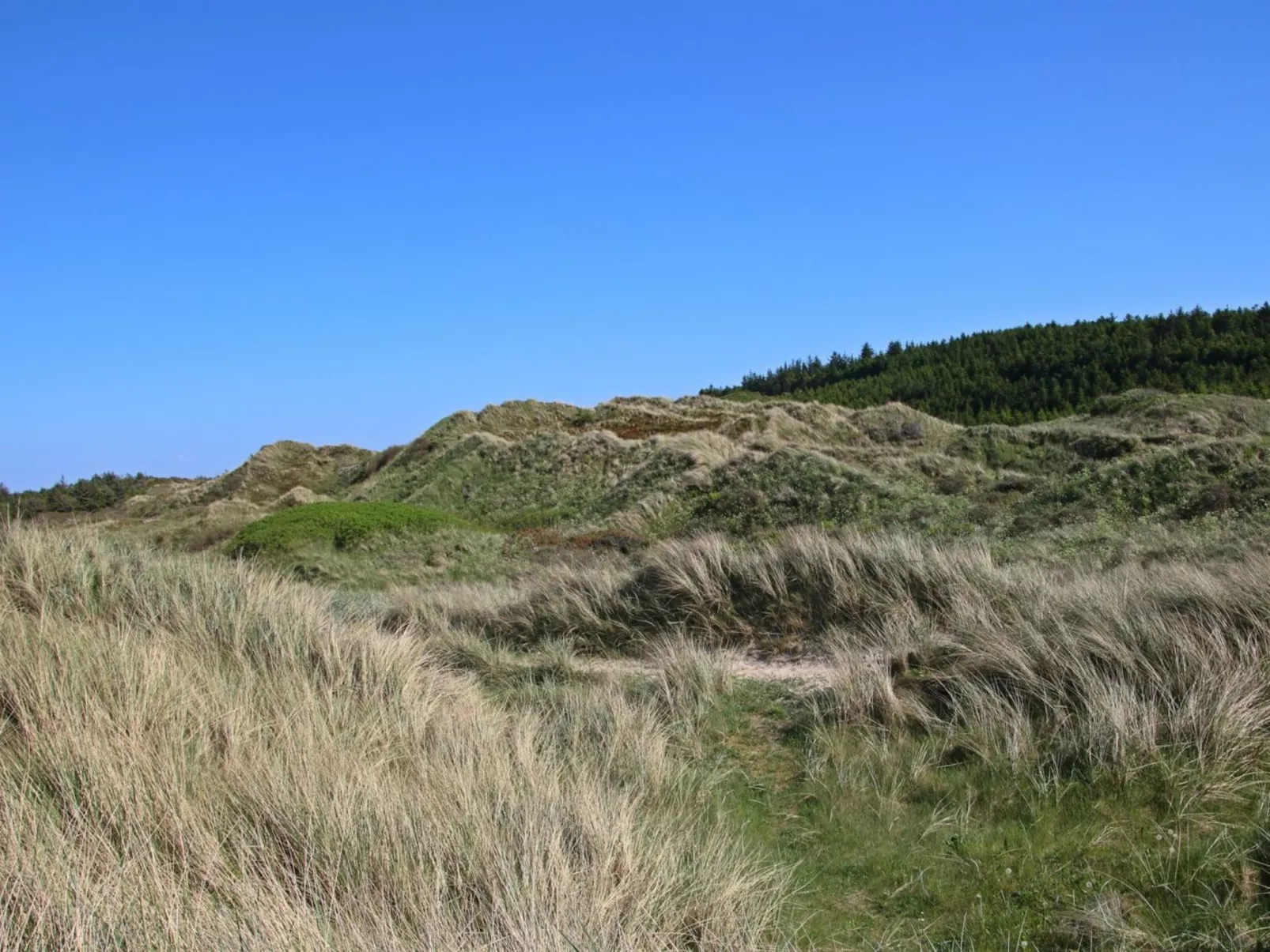 "Nanook" - 4.5km from the sea-Buiten