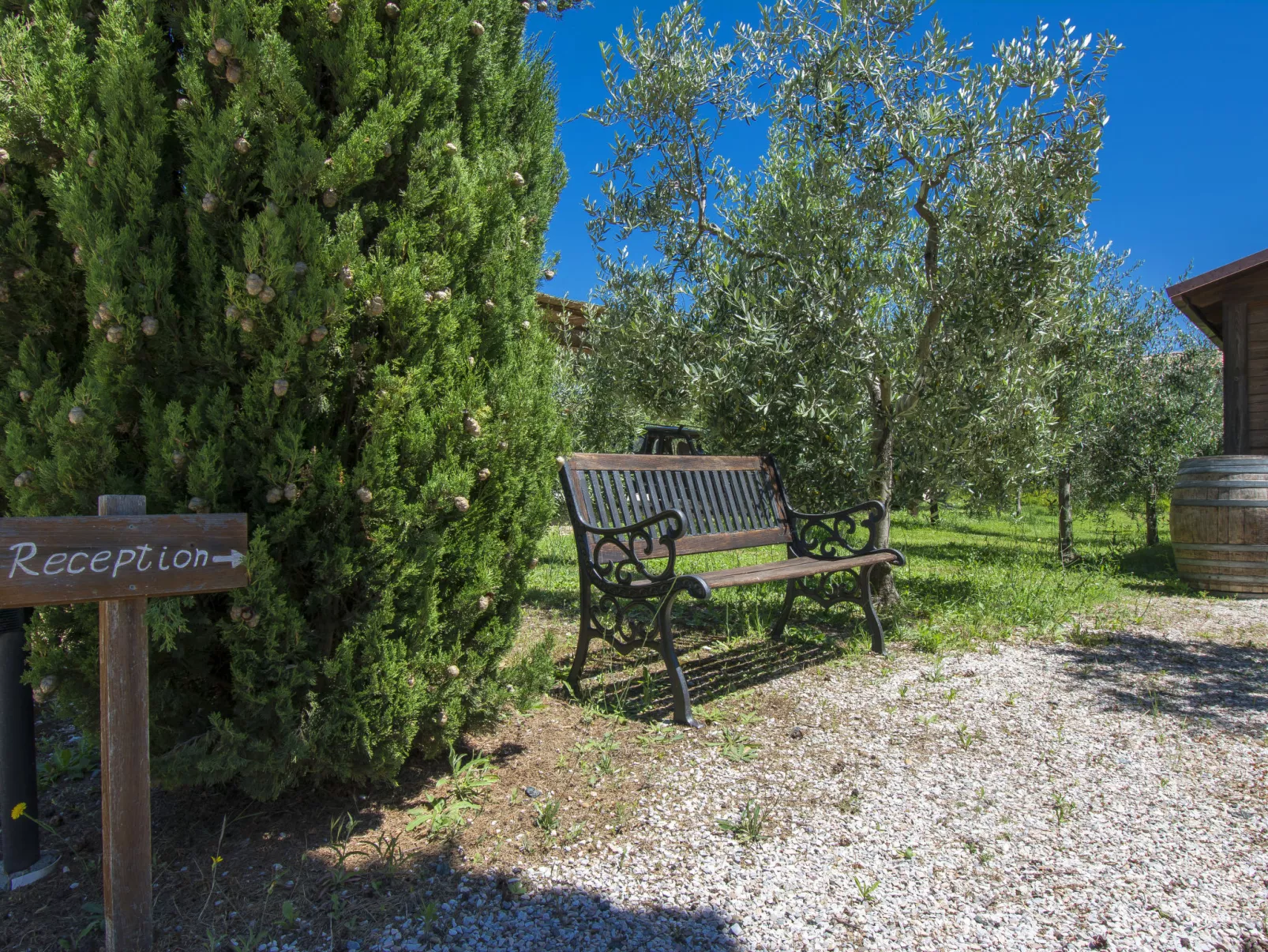 Podere Tre Termini-Buiten