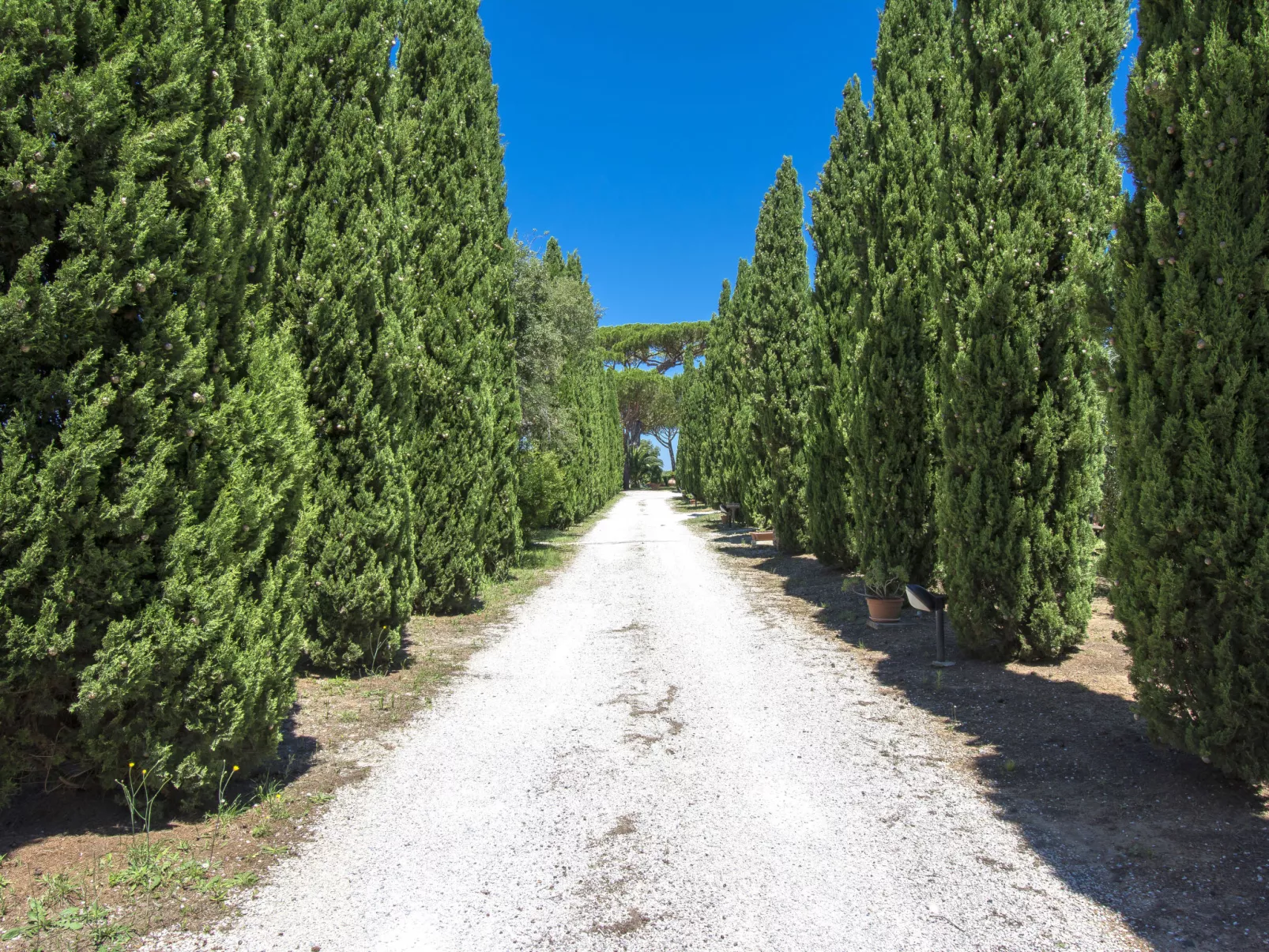 Podere Tre Termini-Buiten