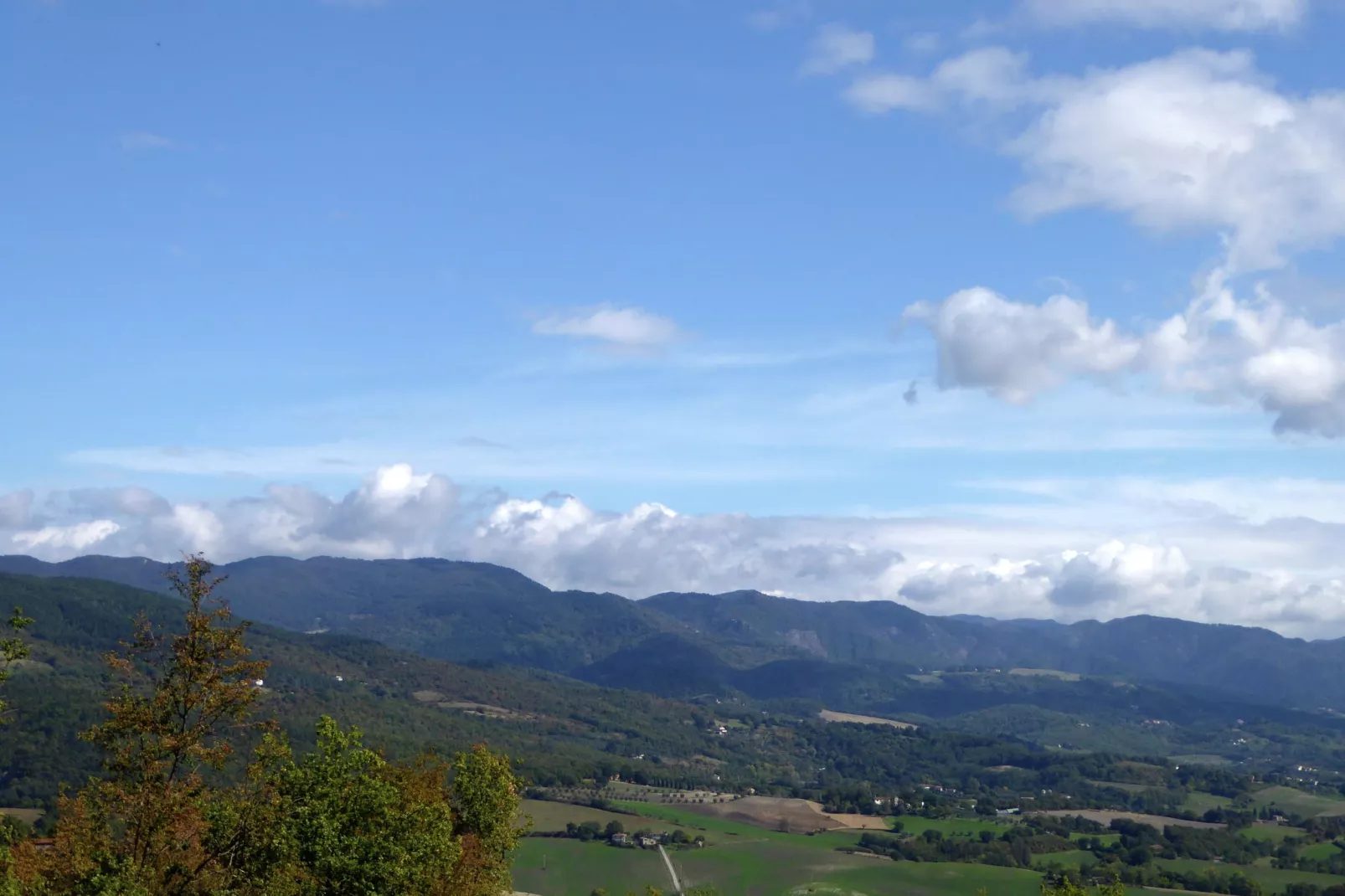 Quercia Undici-Gebieden zomer 5km