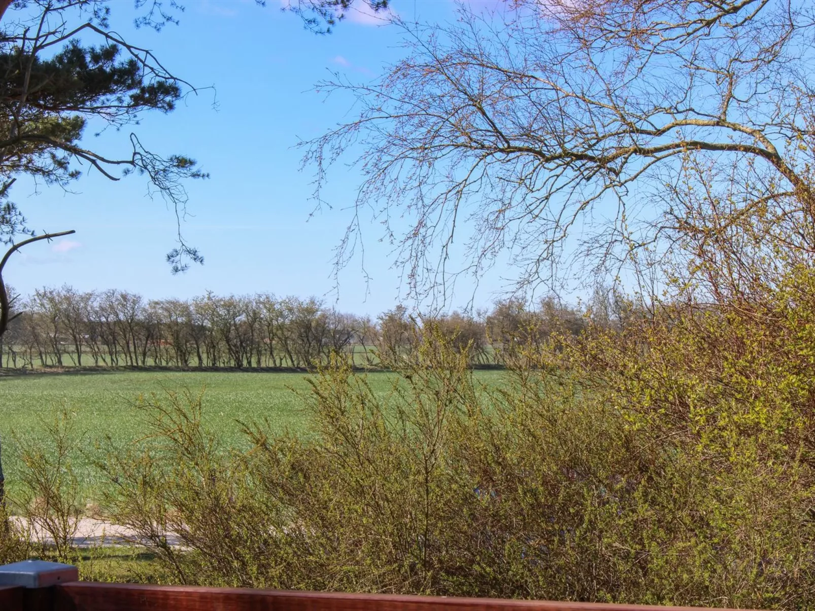 "Yanne" - 400m from the sea-Buiten
