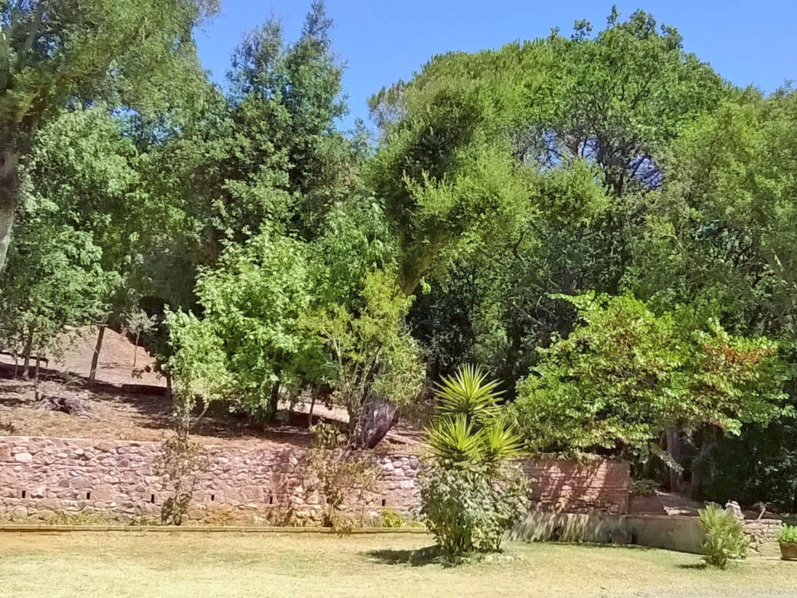 Podere la Quercia-Buiten