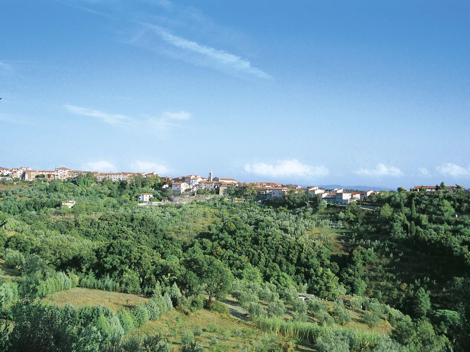 Podere la Quercia-Omgeving