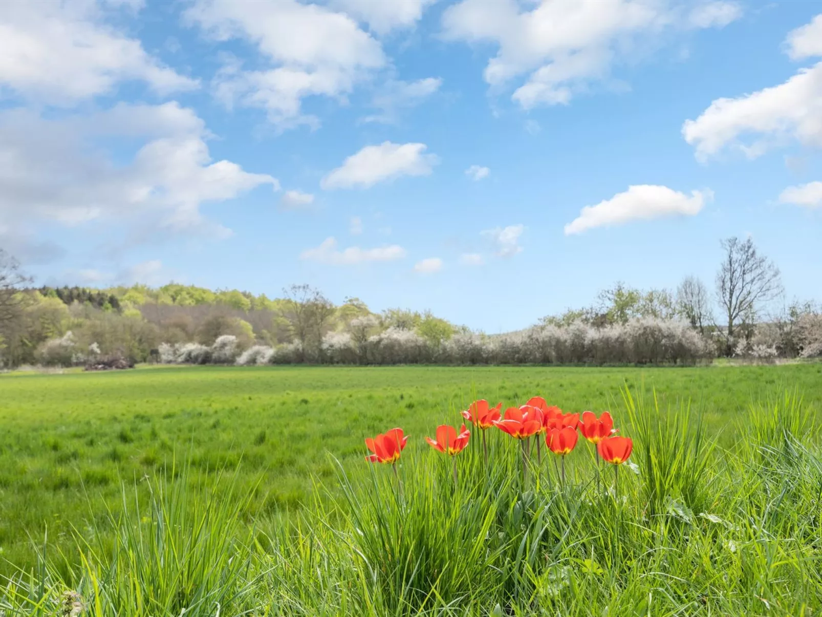 "Kadri" - 5km from the sea-Buiten