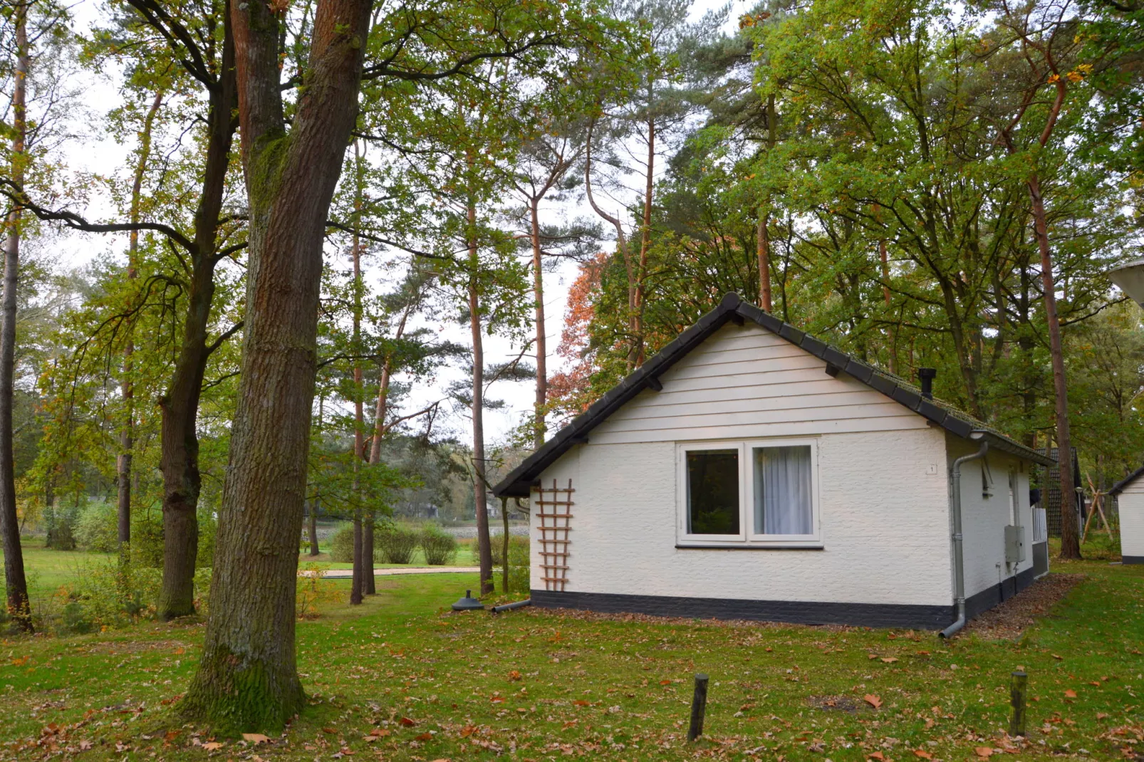 Bungalow nummer 1-Buitenkant zomer