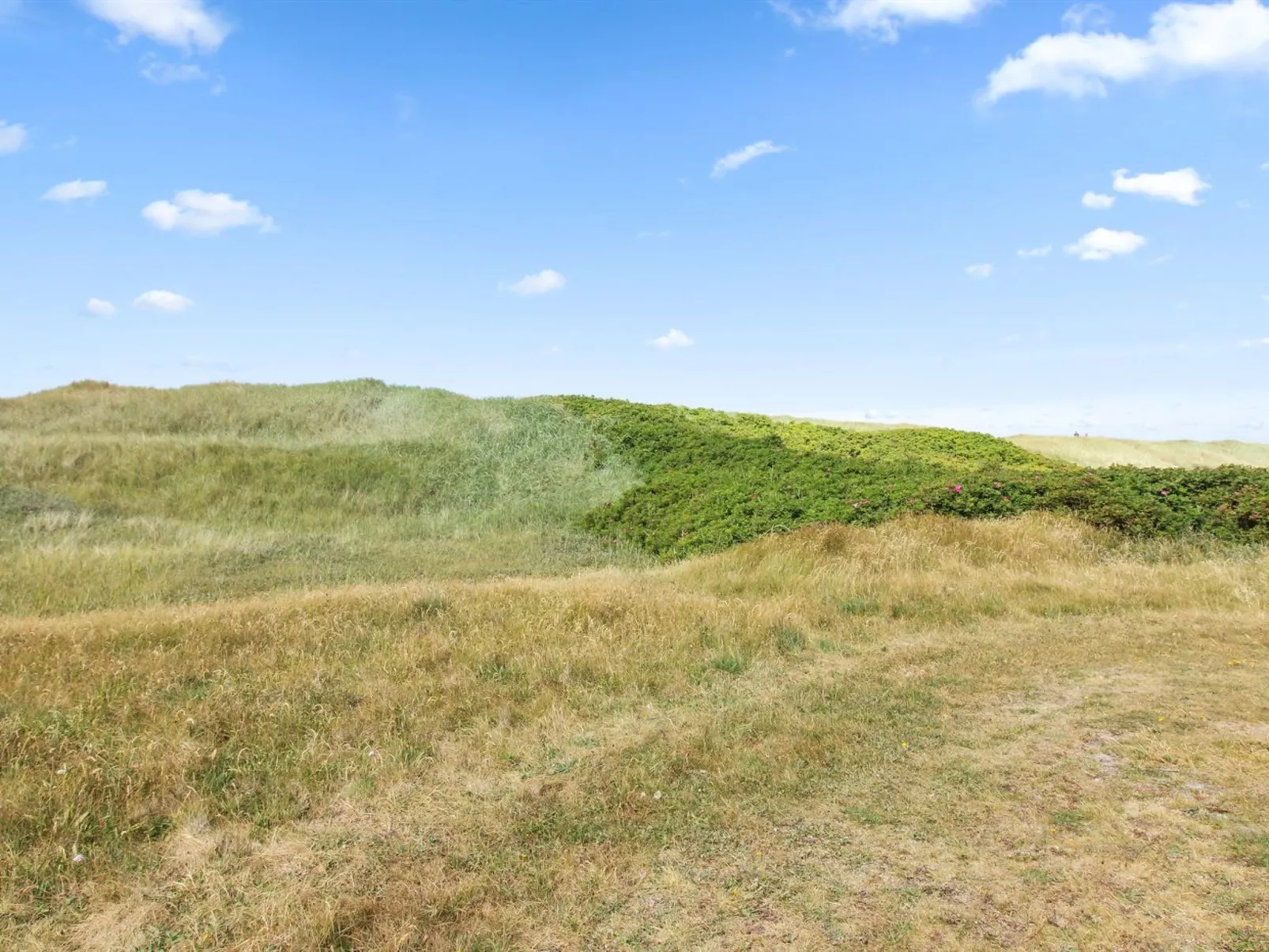 "Frithbjorn" - 50m from the sea-Buiten